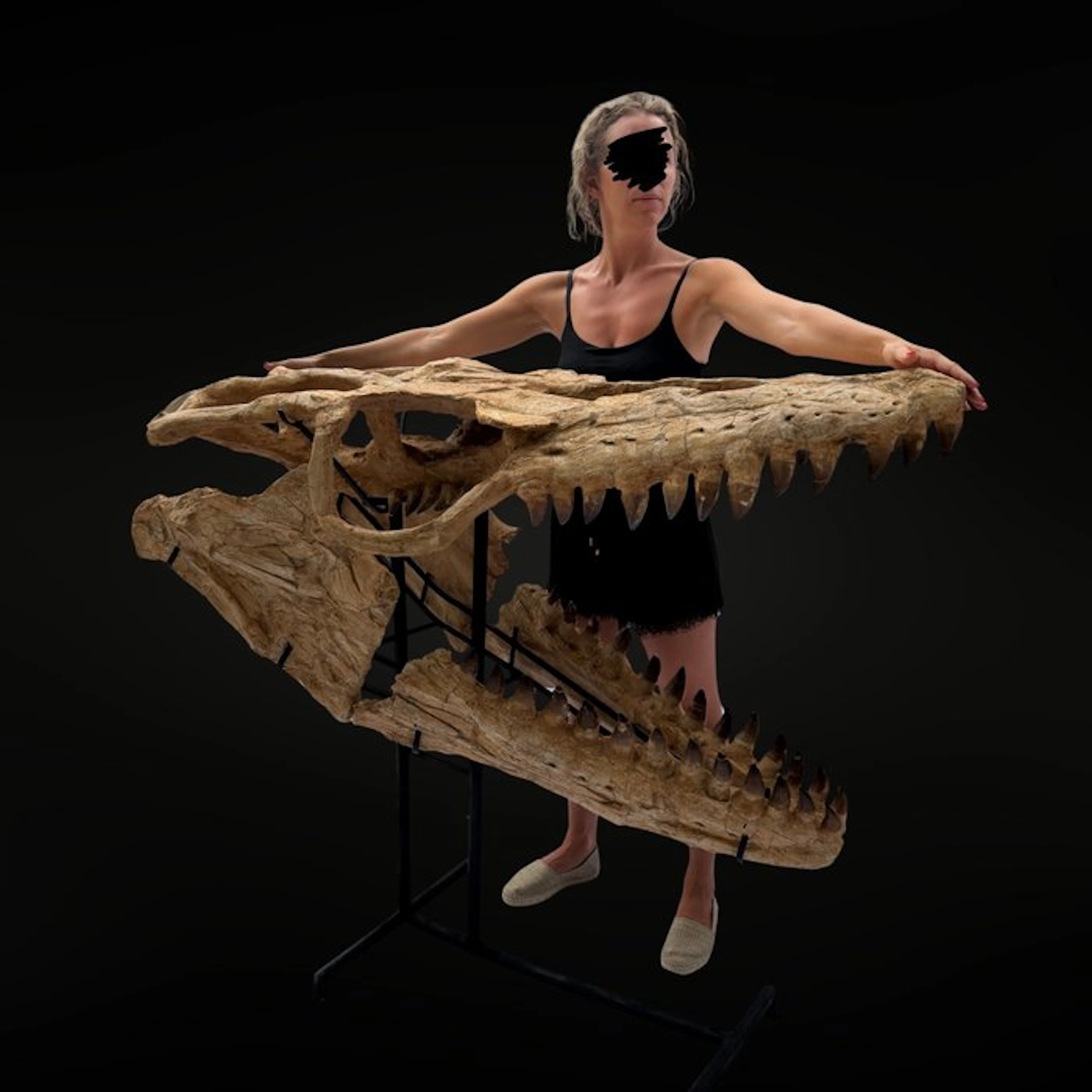 Mosasaure Thalassotitan atrox - Fossil skull - Mosasaure...