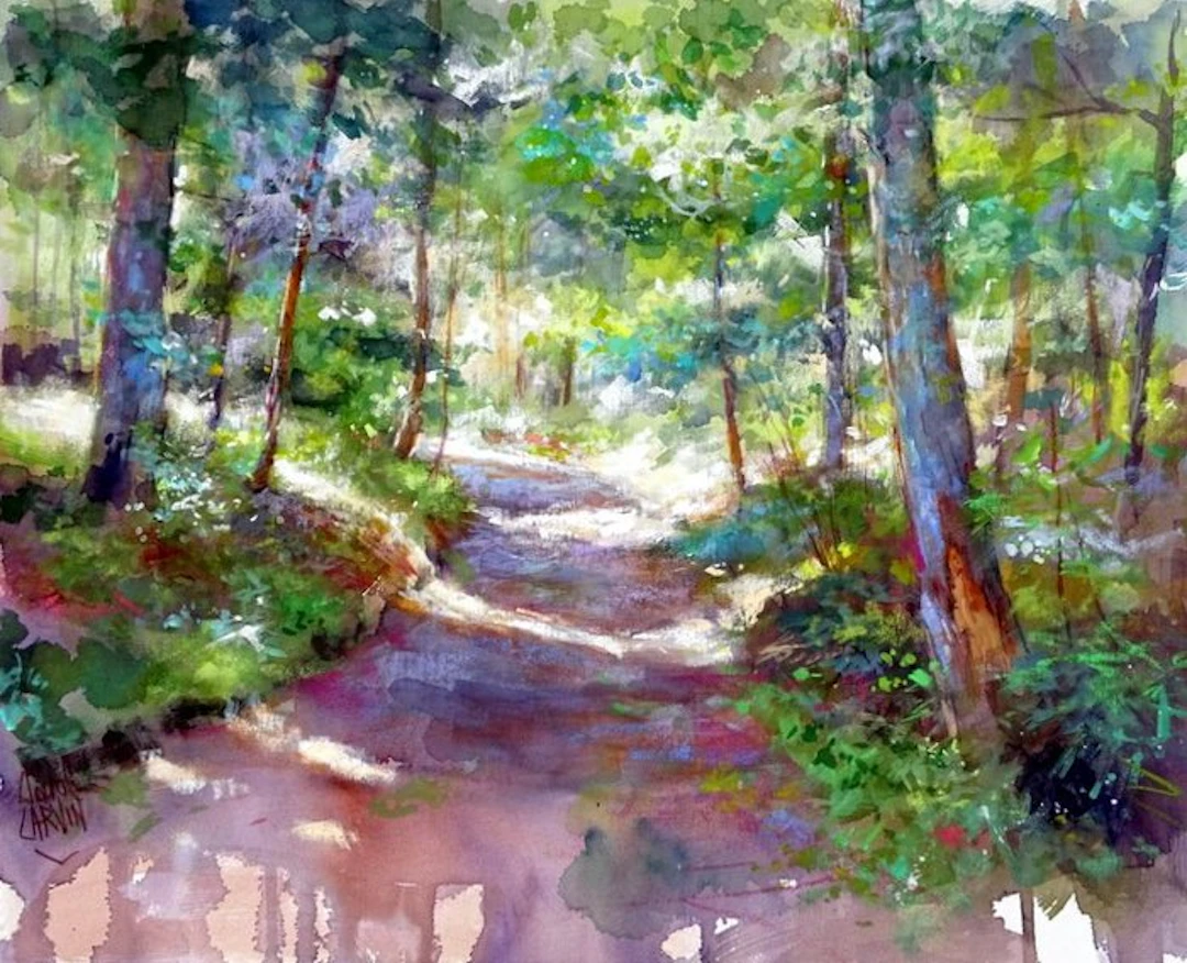 Carvin - Ombres et lumières dans la foret