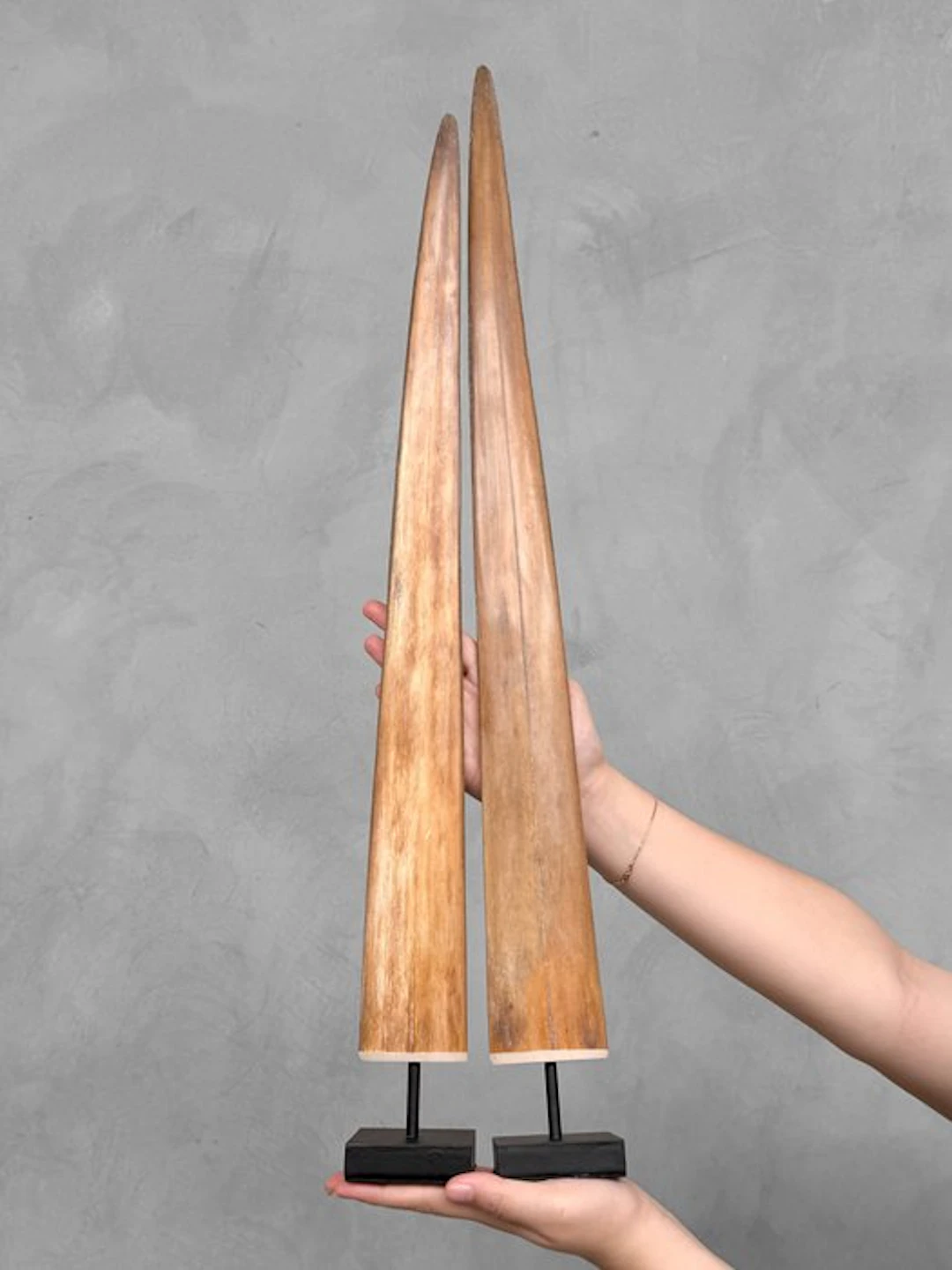 NO RESERVE PRICE - Stunning Pair of Swordfish Tusks...