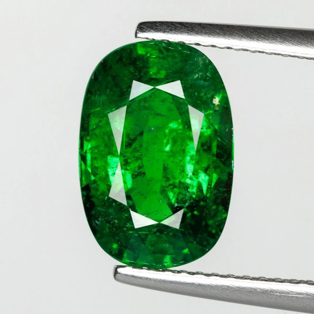 1 pcs Green Tsavorite - 4.93 ct - Gemological Institute of America (GIA)