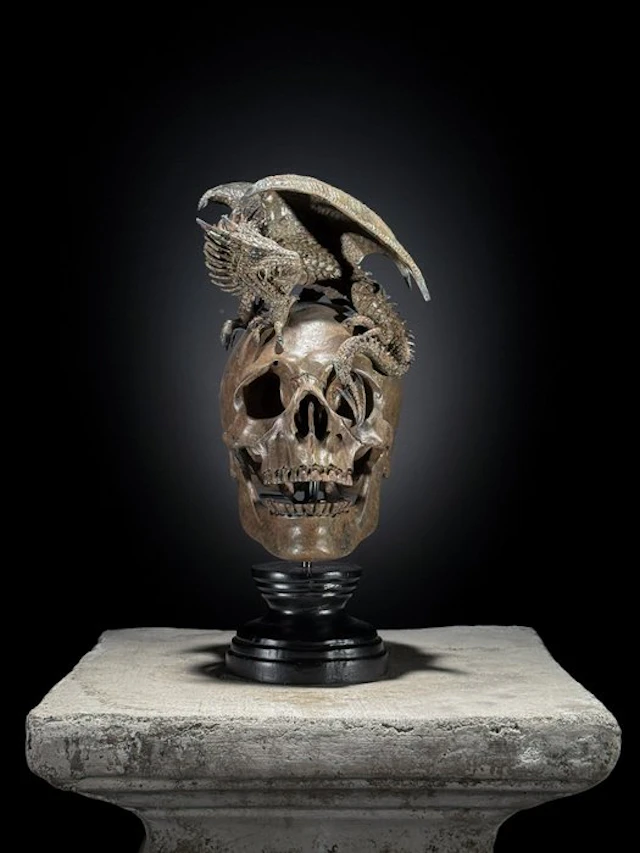 Statue, NO RESERVE PRICE - Human Skull Dragon on custom...