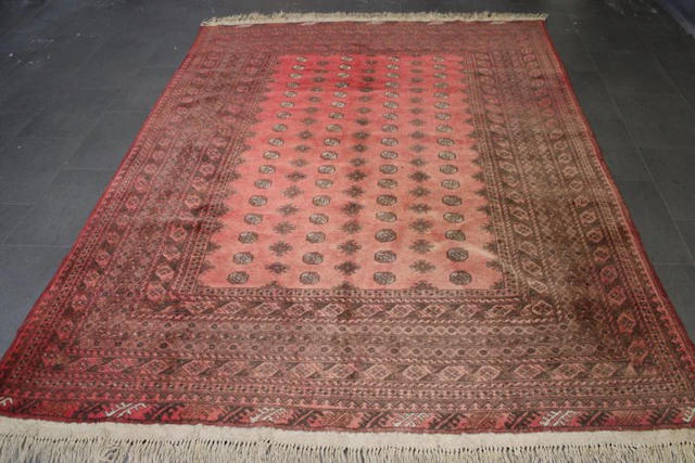 Afghan - Rug - 281 cm - 197 cm