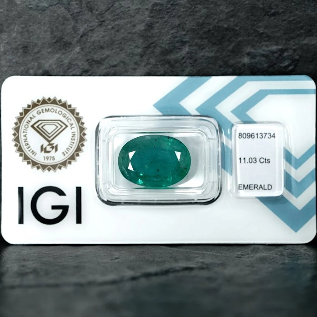 No reserve price - 1 pcs Green Emerald - 11.03 ct...