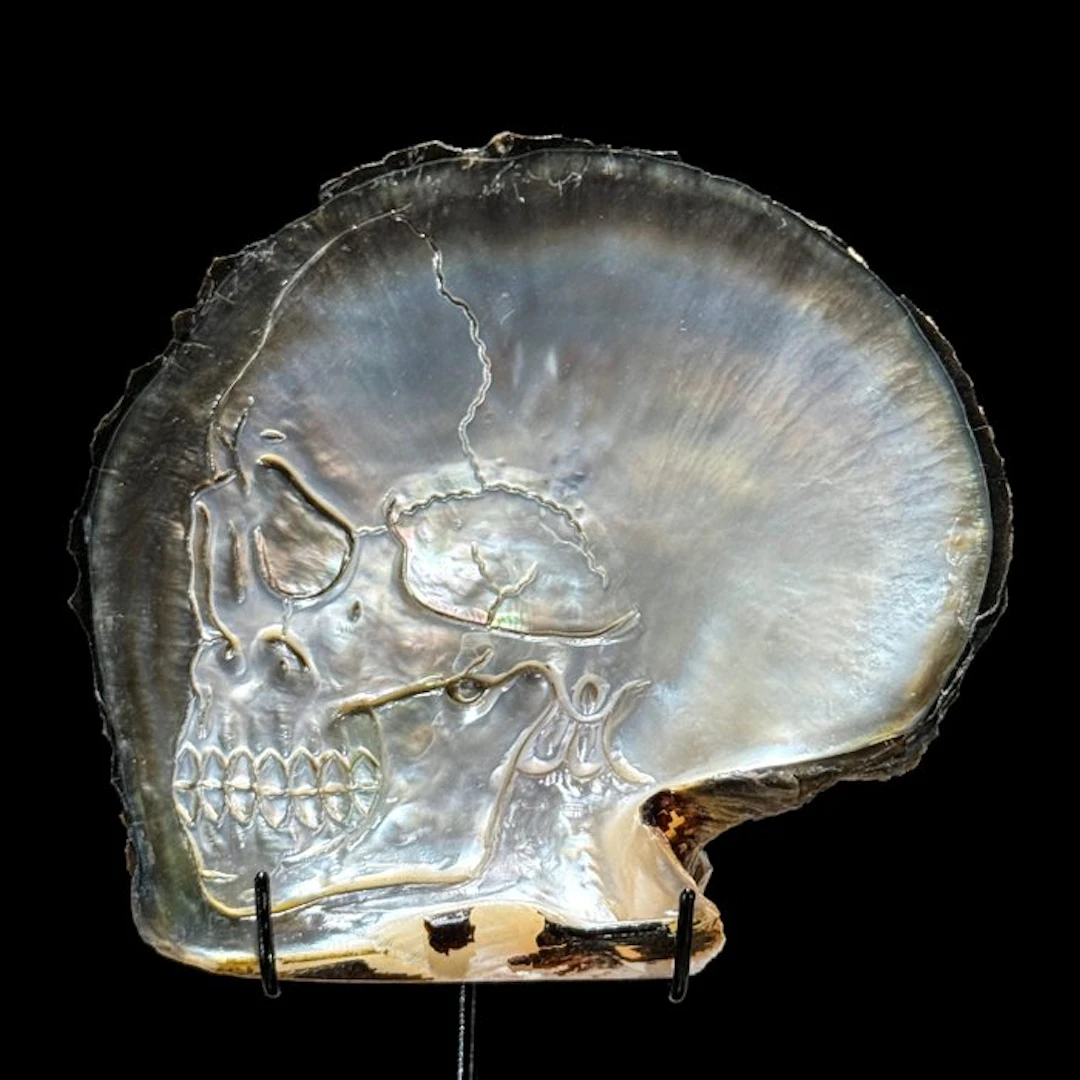 Intricately carved Mother of Pearl Shell - Human Skull...