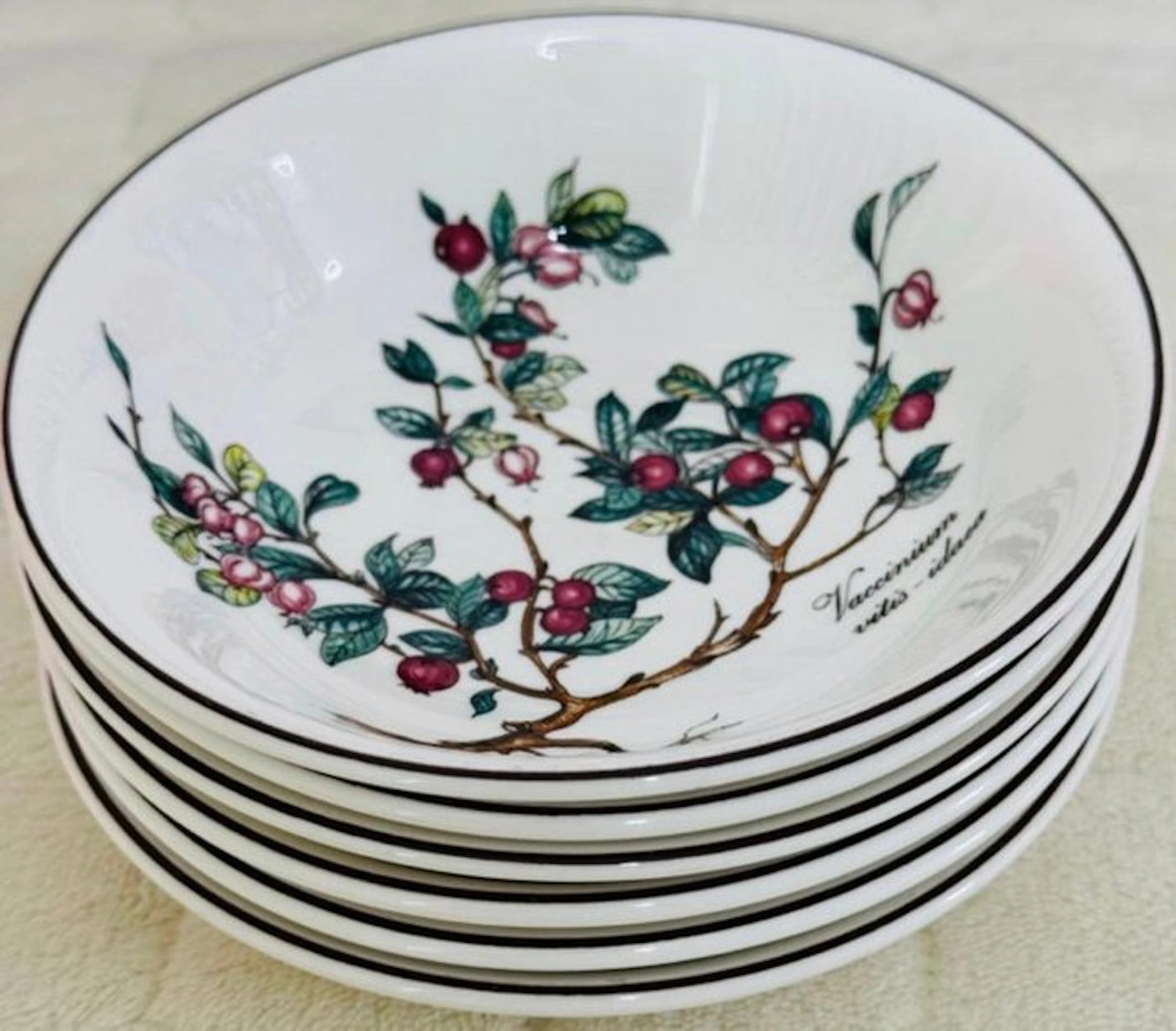 Villeroy & Boch - Bowl (6) - botanica - Porcelain