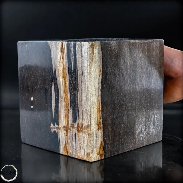Natural petrified wood cube piece – rare fossilized wood...