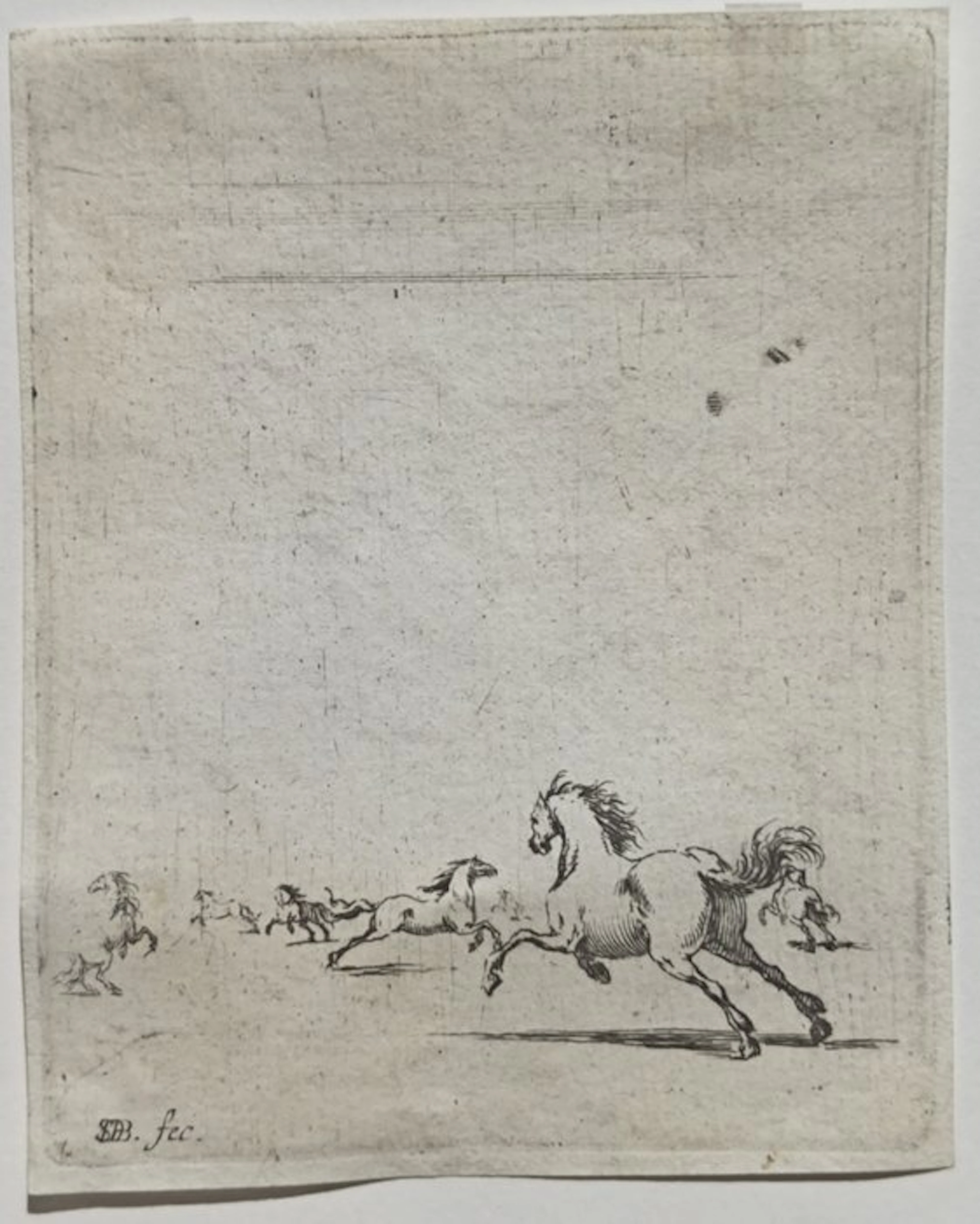 Stefano Della Bella (1610-1664) - Cavalli che corrono liberi