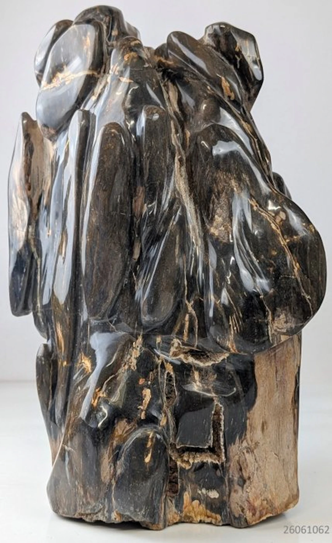object - Fossilised wood - versteend hout - 32 cm - 16 cm