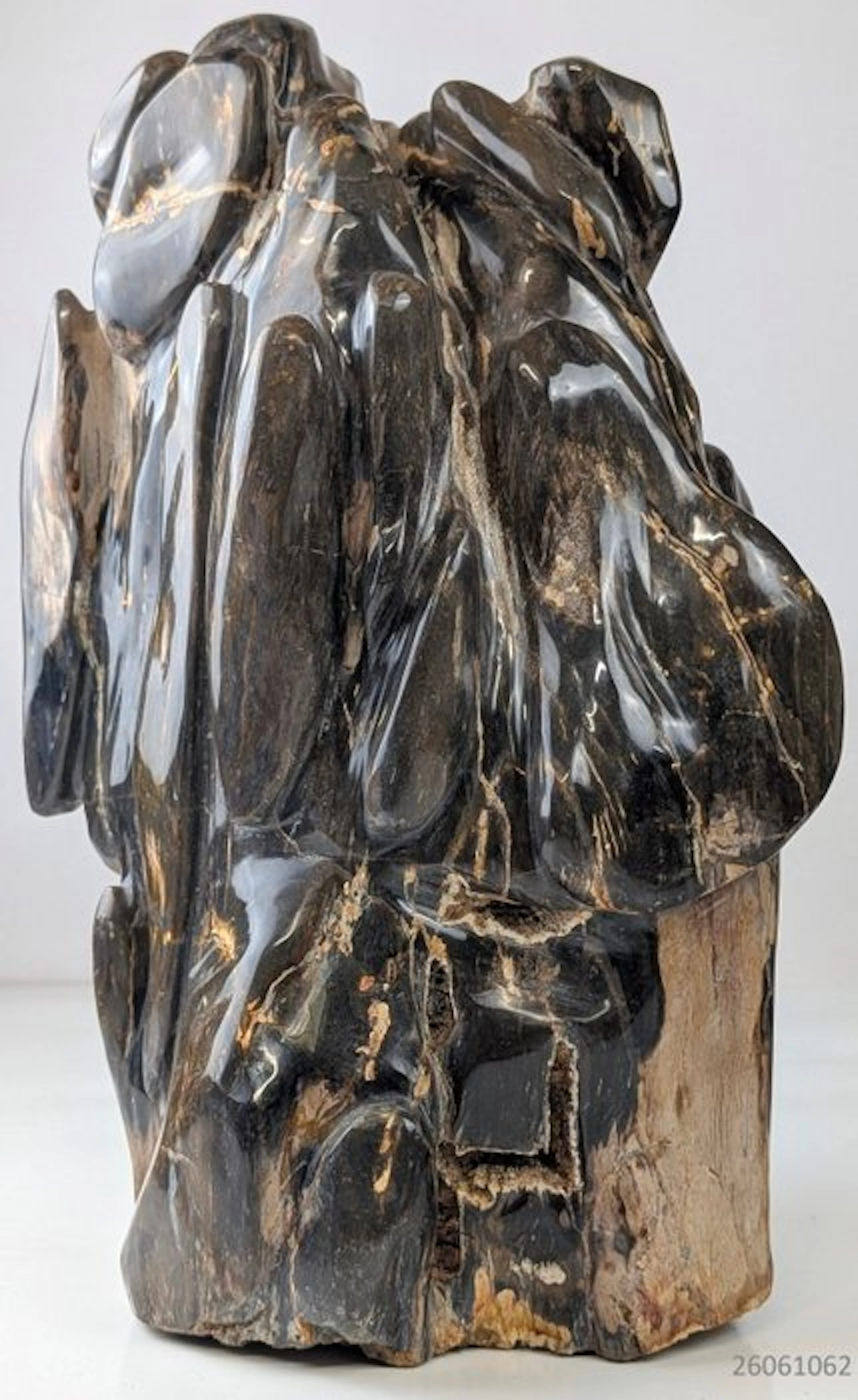 object - Fossilised wood - versteend hout - 32 cm - 16 cm