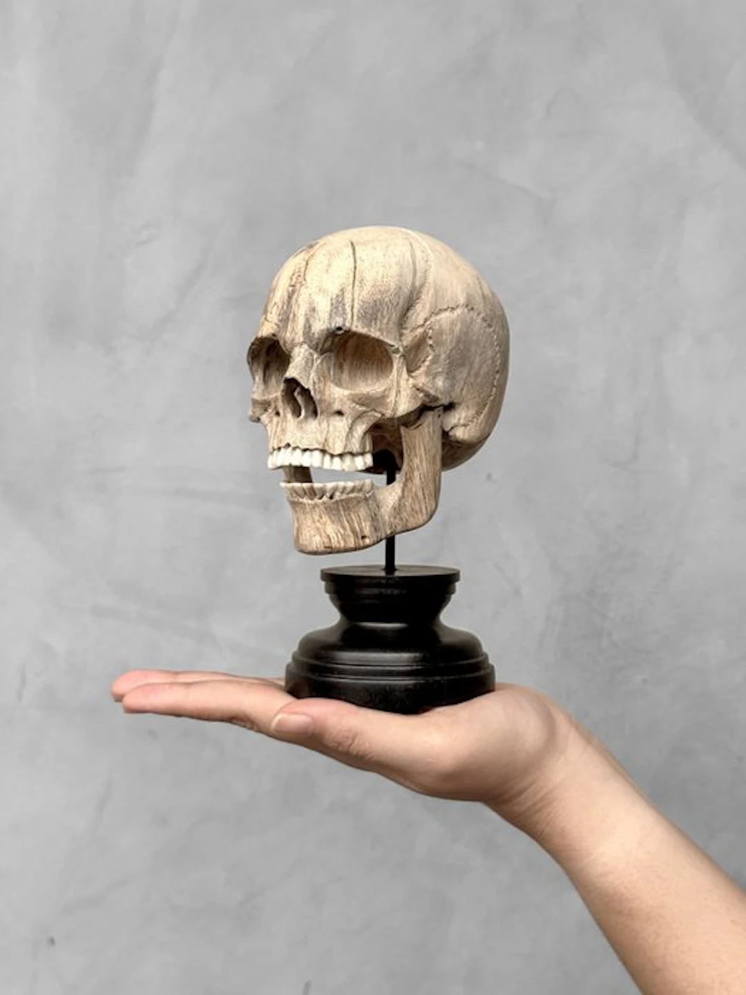 Stunning Wooden Human Skull With A Beautiful Grain...