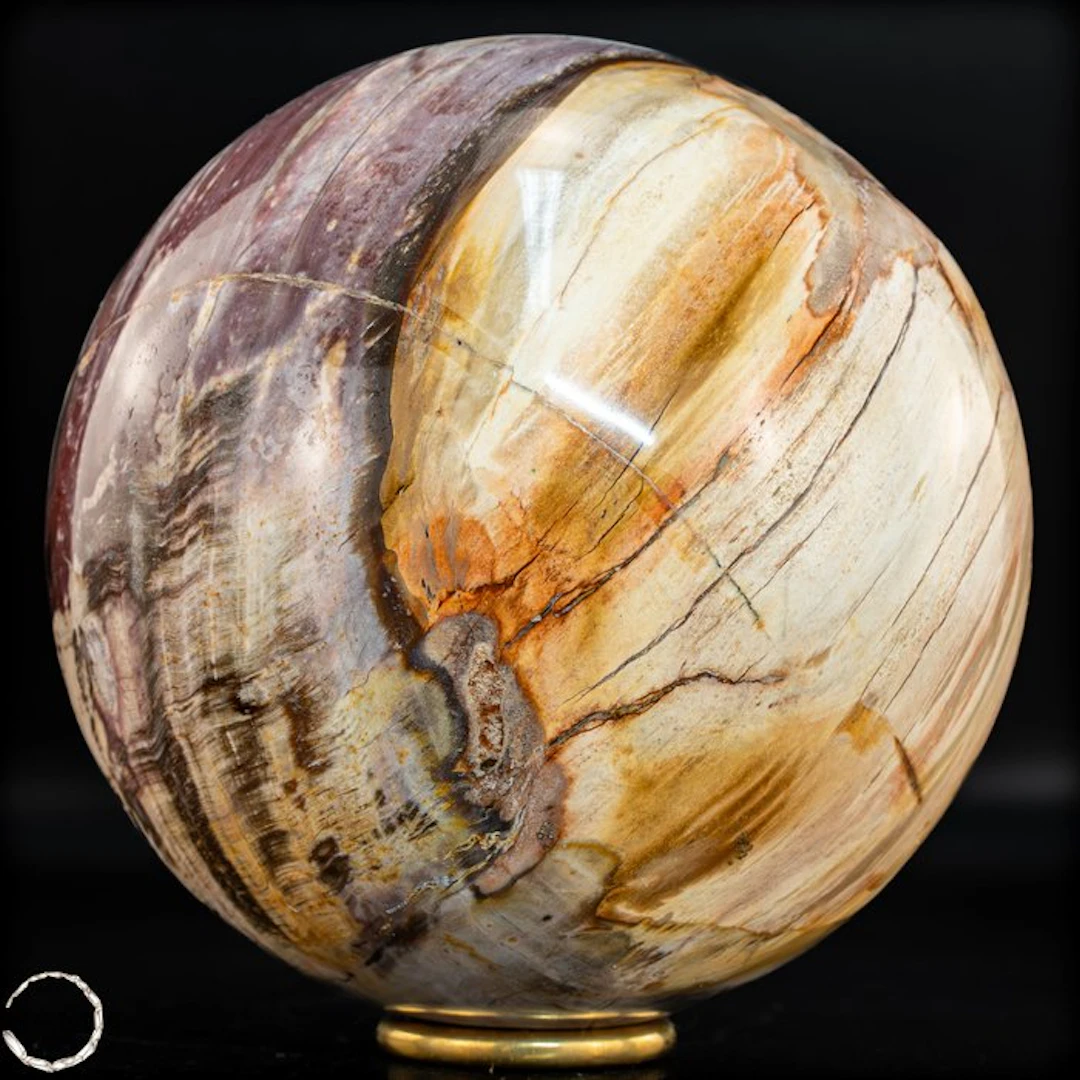 Natural fossilized wood ball – Rare petrification with warm