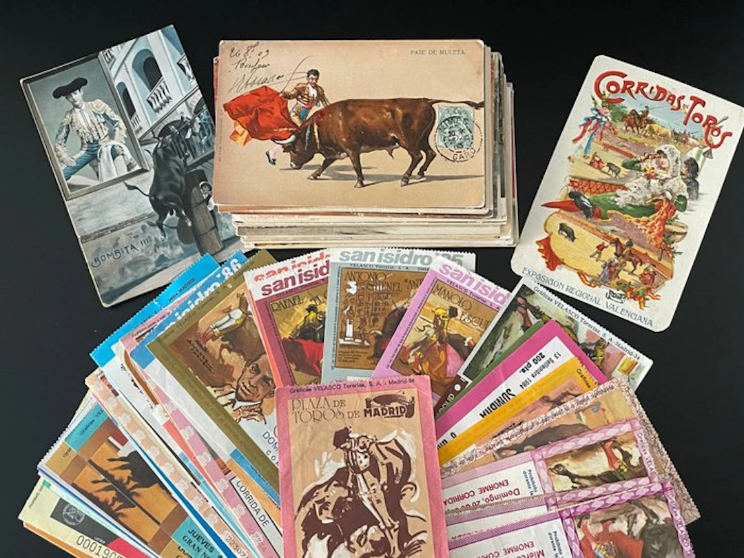 Bulls, bullfighting