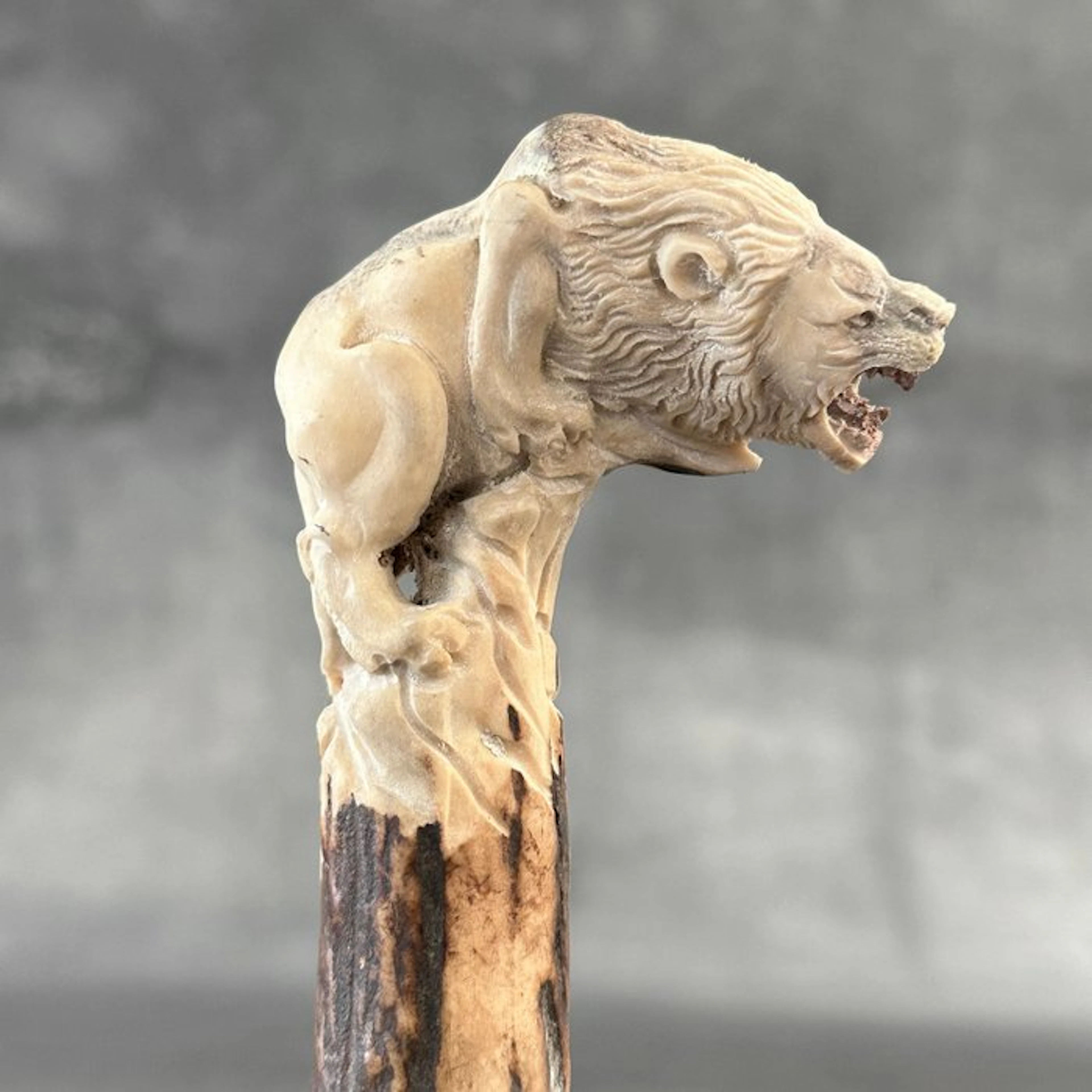 Carving, NO RESERVE PRICE - A lion carving from deer...