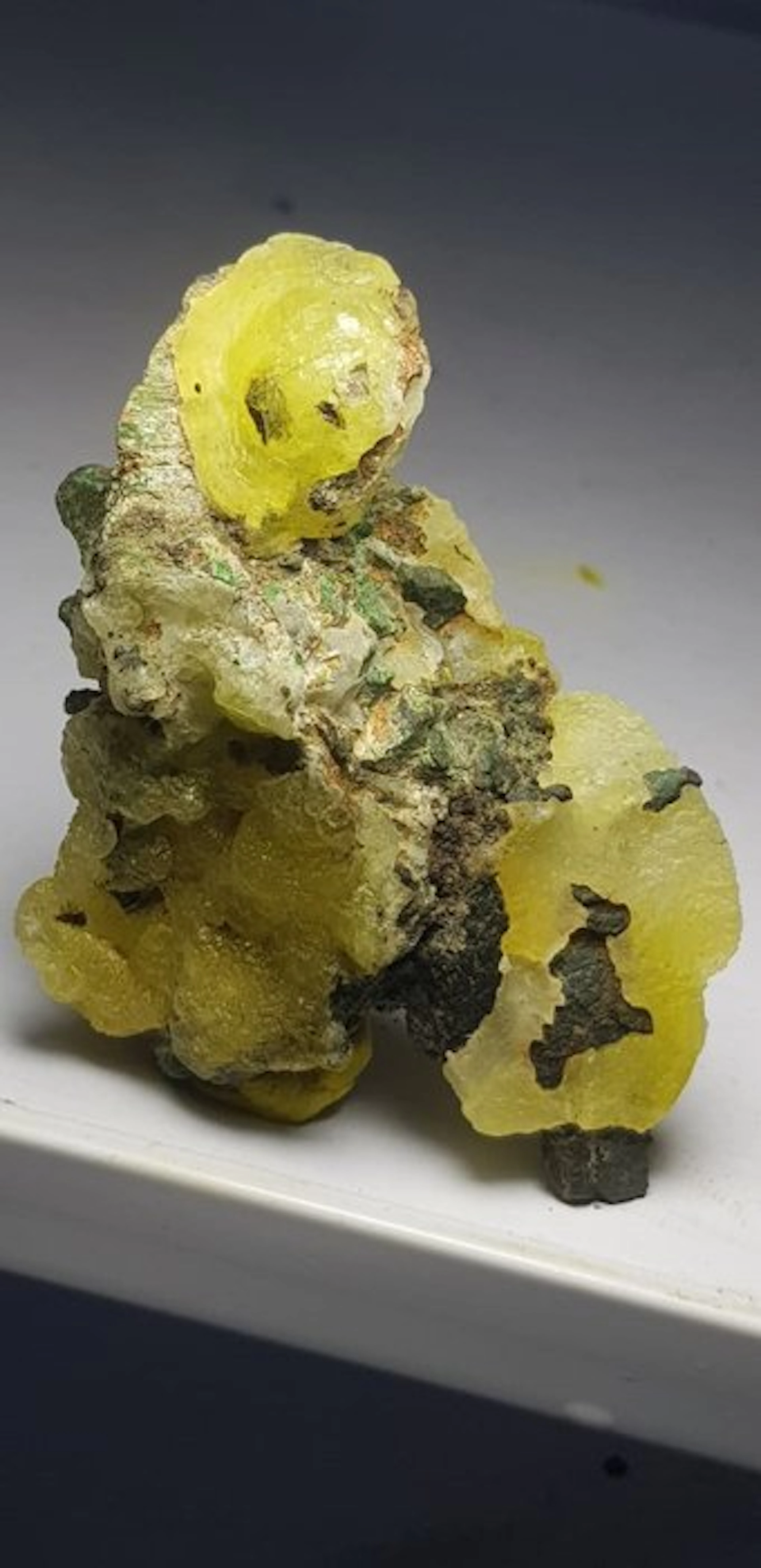 Small Puppy(dog) shaped brucite Specimen - Height: 80 mm - Width: 66 mm- 102 g