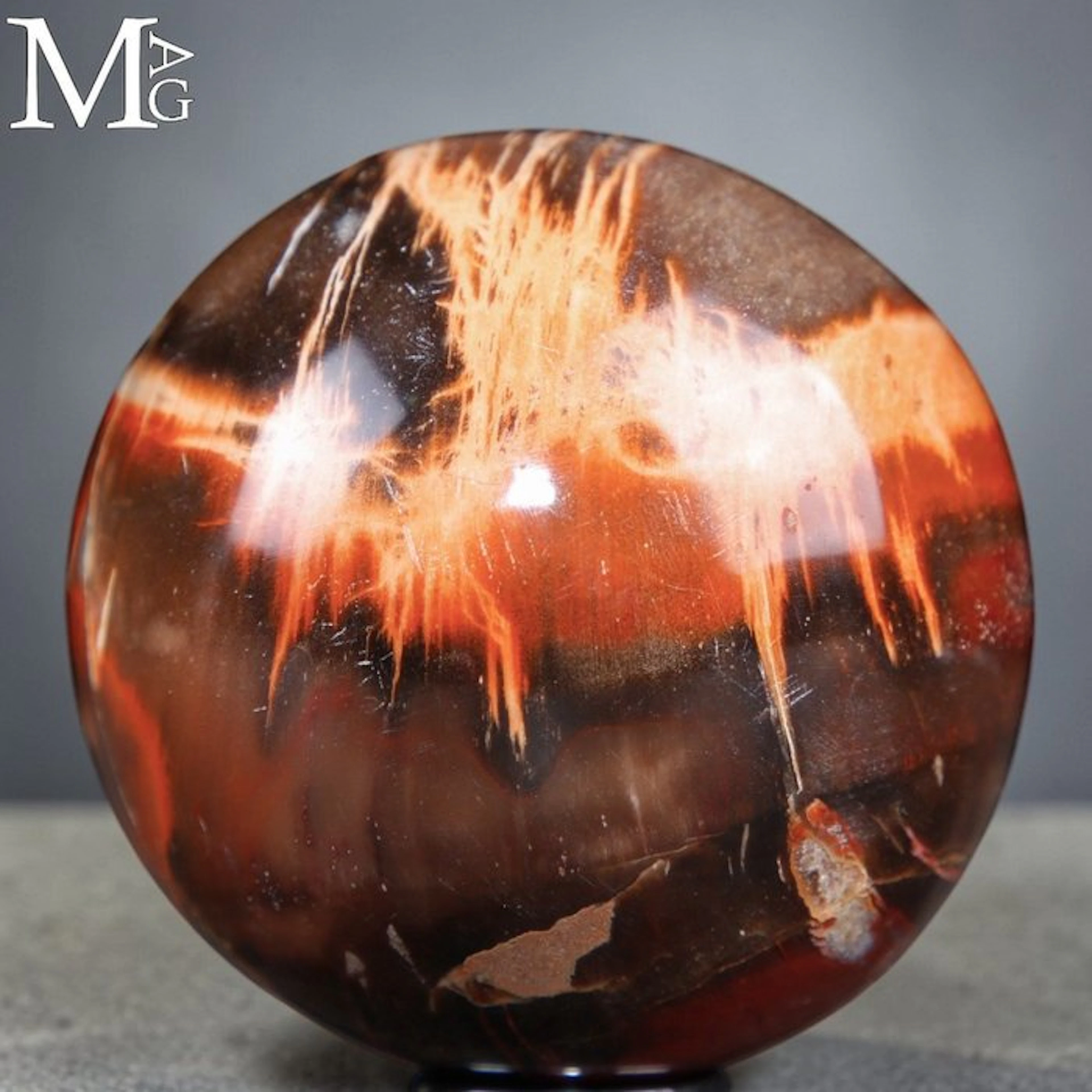 Striking Triassic Fossil Wood with Fiery Red Hues and...