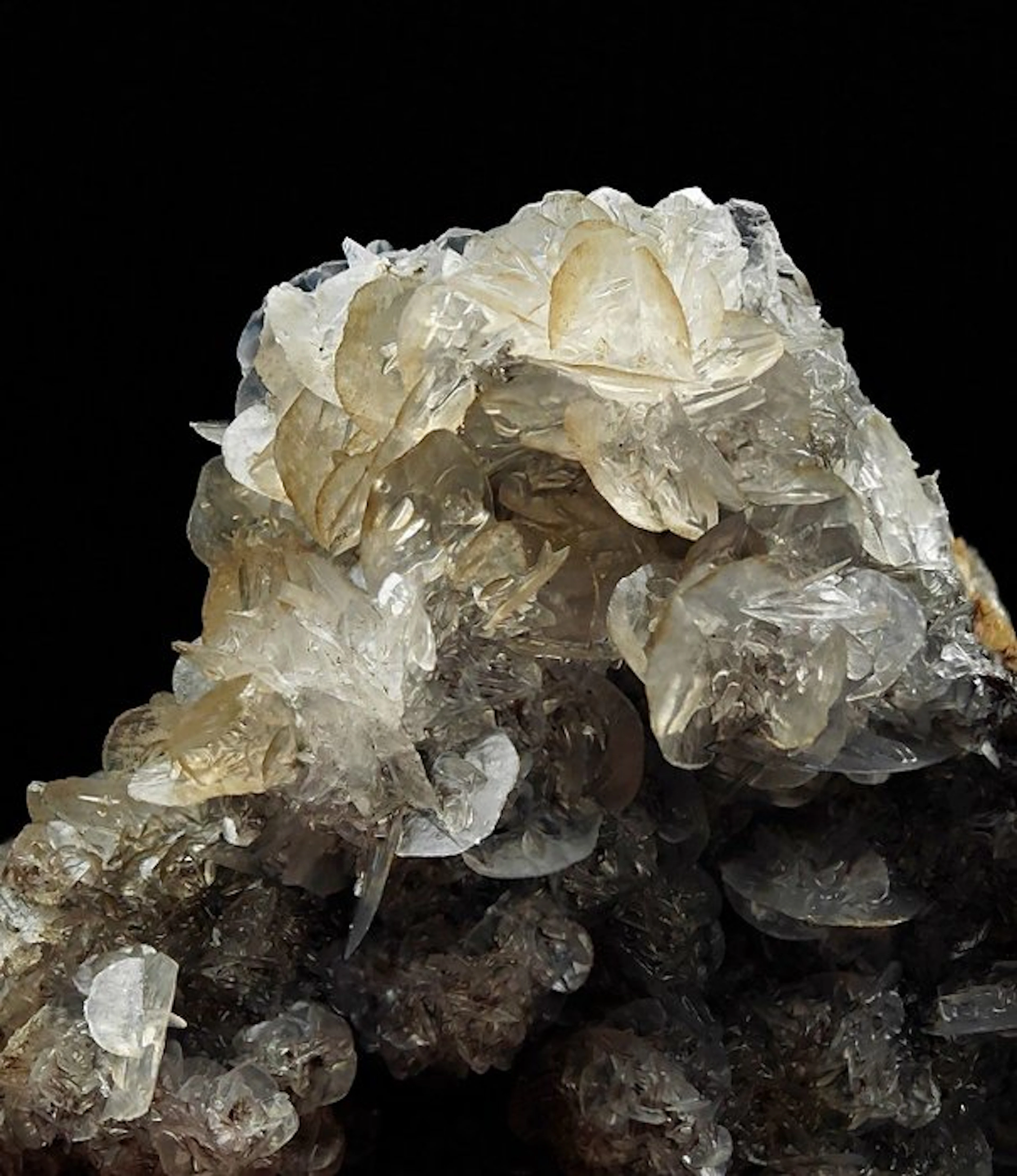 Transparent lamellar calcite aesthetic