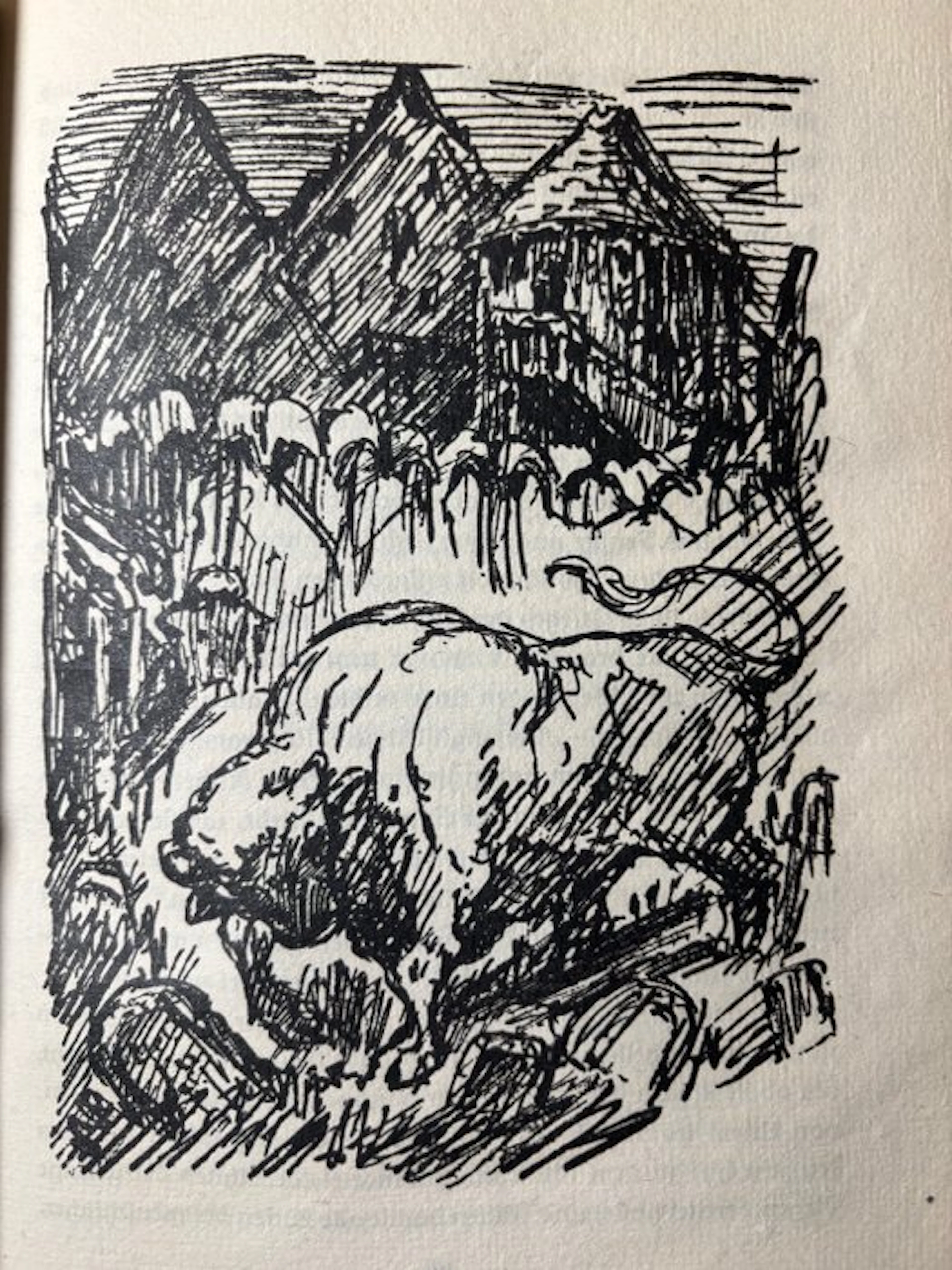 Achim von Arnim / Alfred Kubin (illustrations) - Die Majoratsherren - 1922-1922