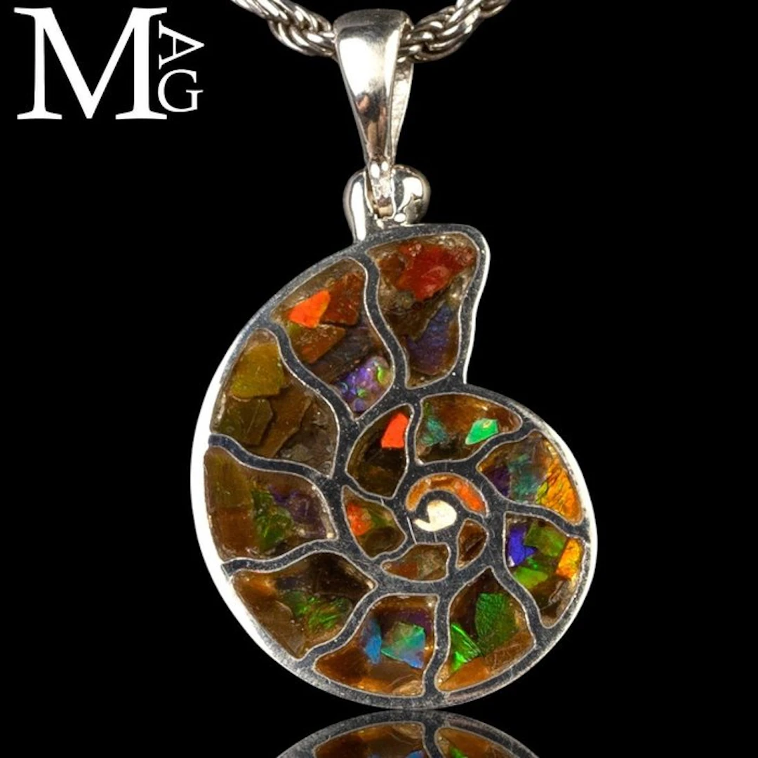 Cleoniceras Ammonite and Ammolite Inlays Jurassic Jewelry...