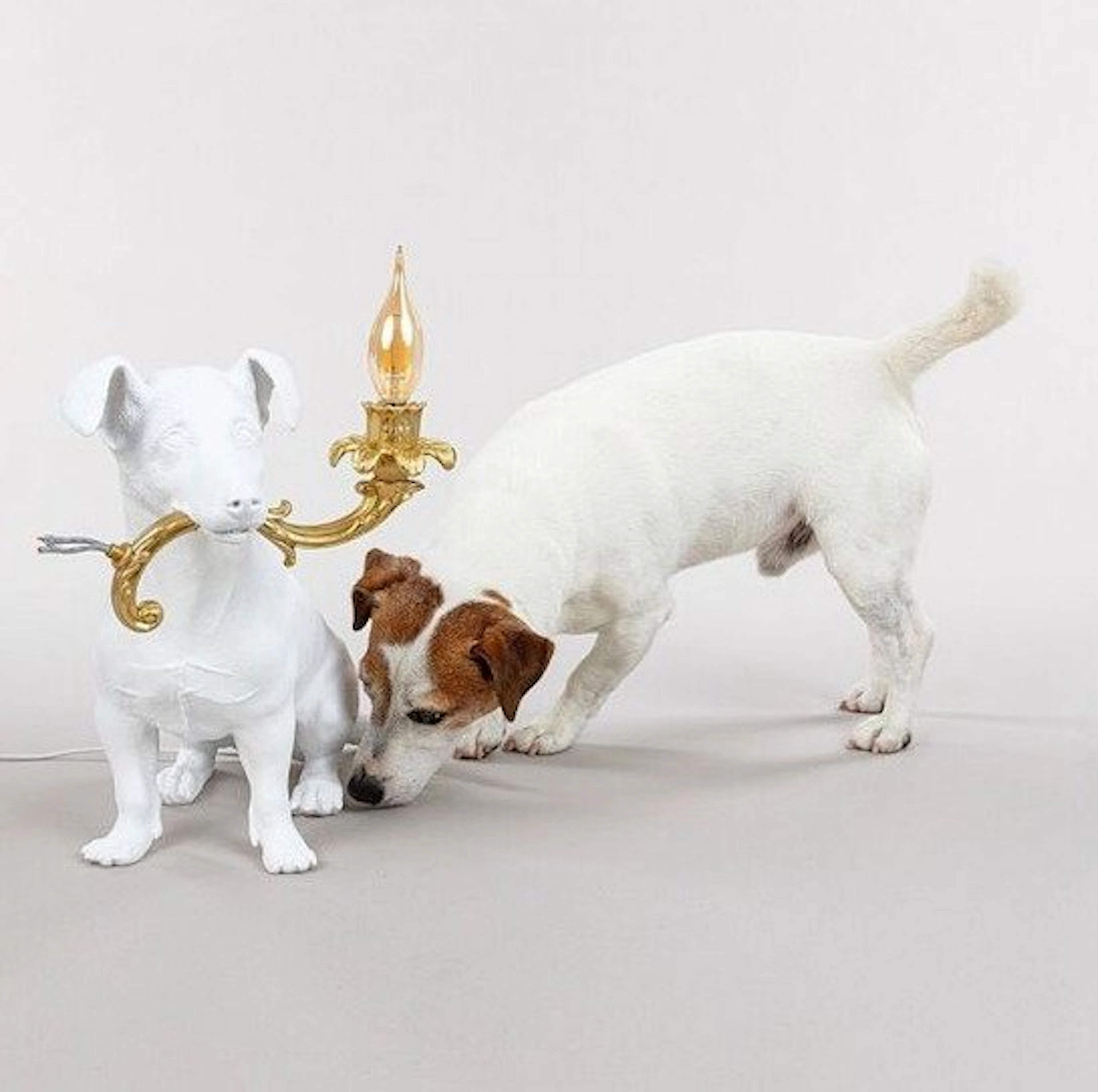 Seletti - Marcantonio - Lamp - Rio Lamp - Resin