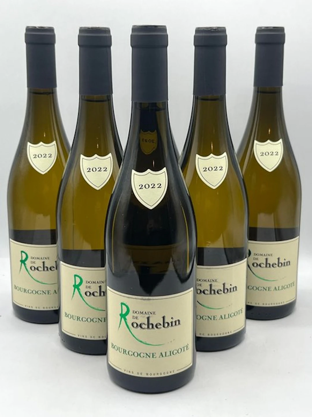 2024 Domaine de Rochebin - Bourgogne Aligoté - 6 Bottles (0.75L)
