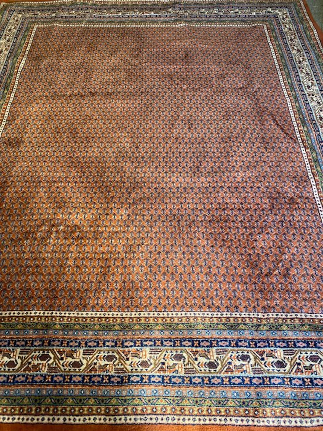 Sarouck - Carpet - 300 cm - 250 cm