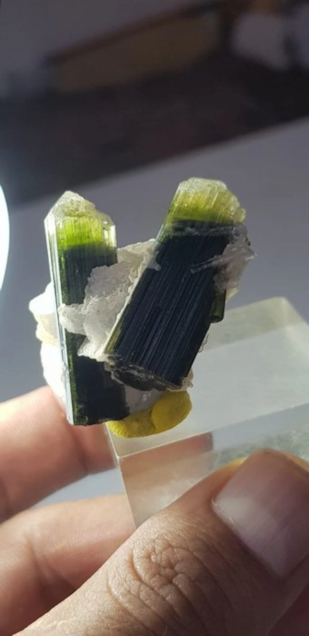Staknala green cap tourmaline on albite matrix Mineral...