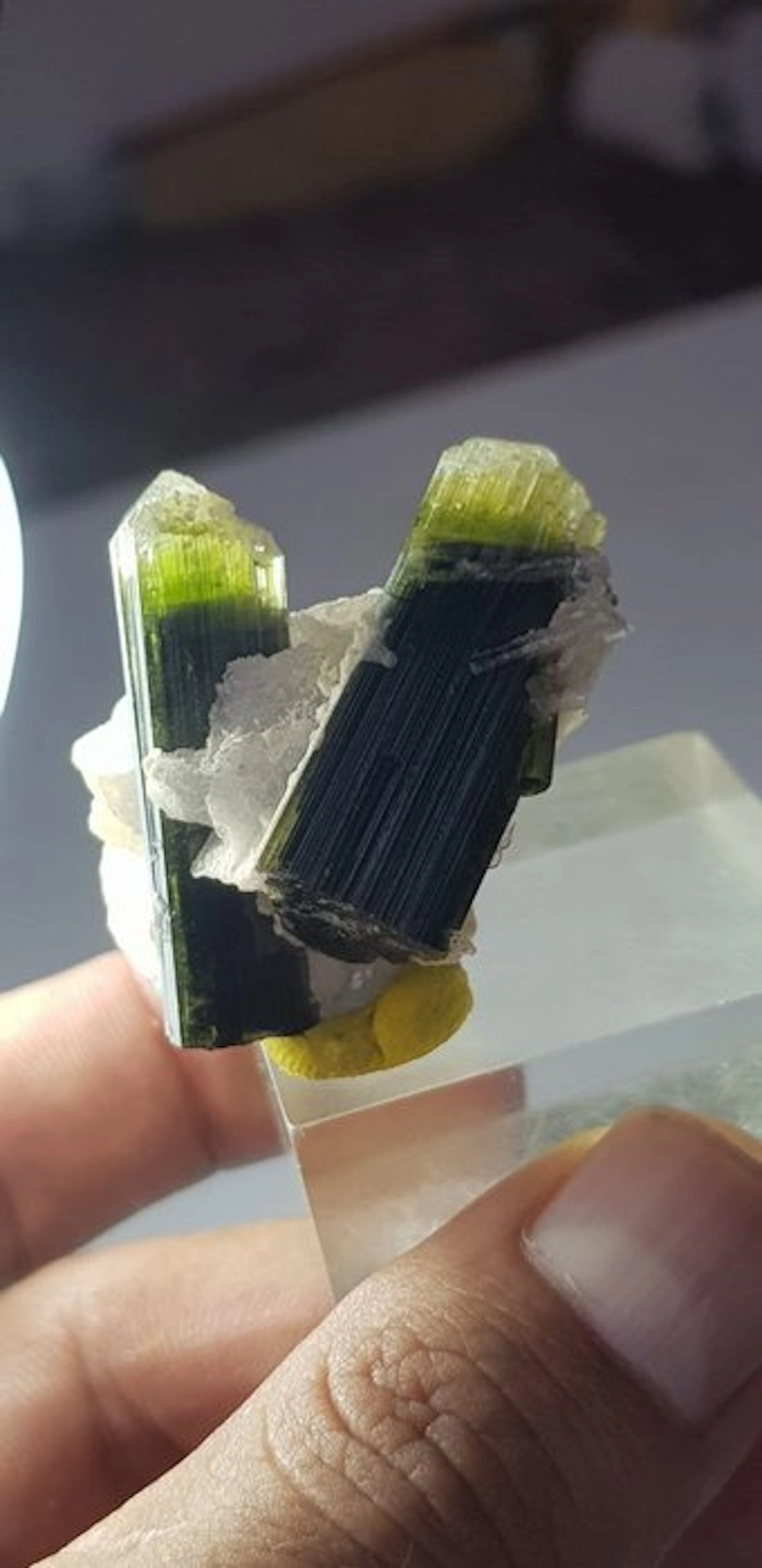 Staknala green cap tourmaline on albite matrix Mineral...