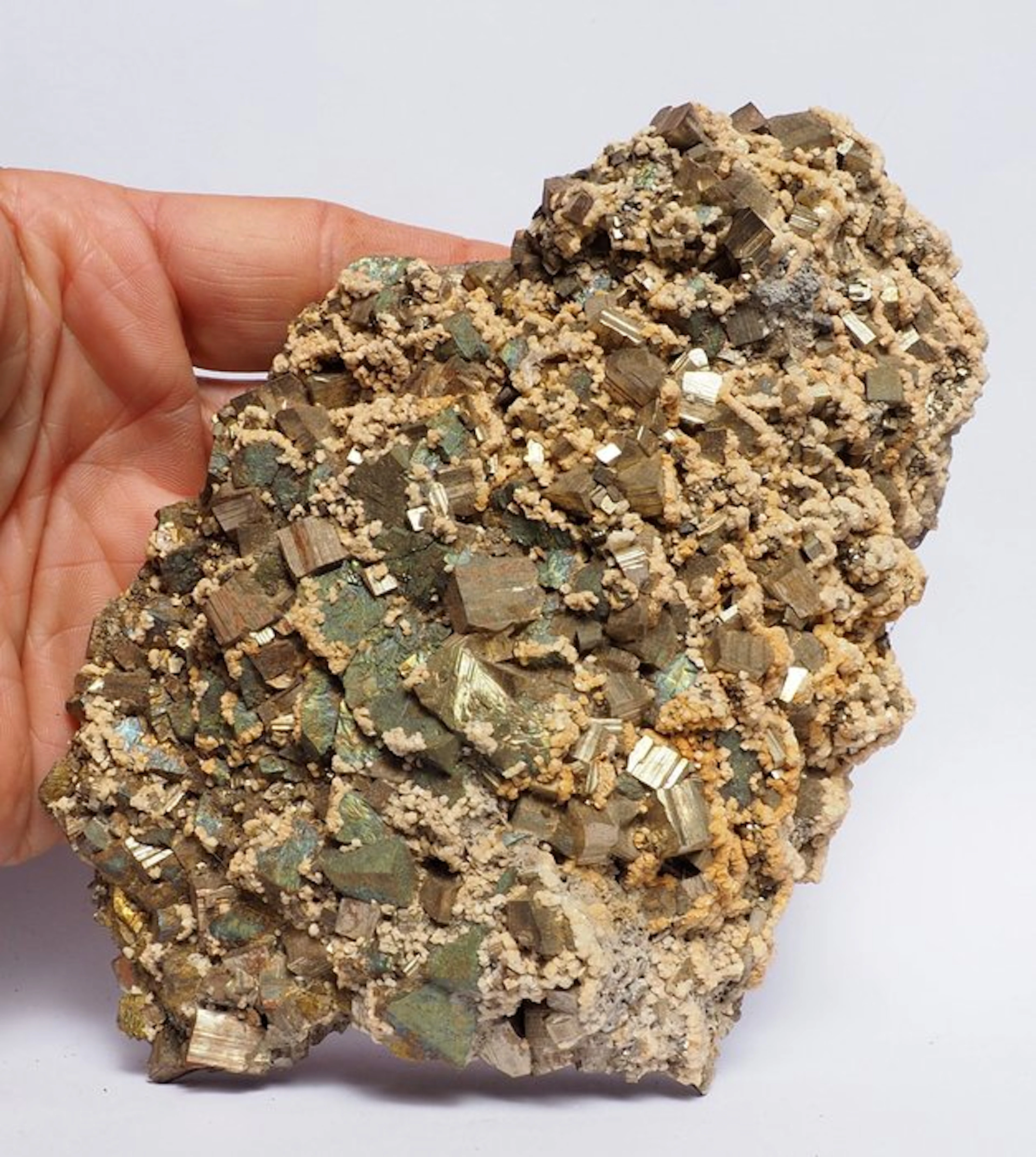 Chalcopyrite Crystals on matrix - Height: 15.6 cm - Width: 12 cm- 1 kg