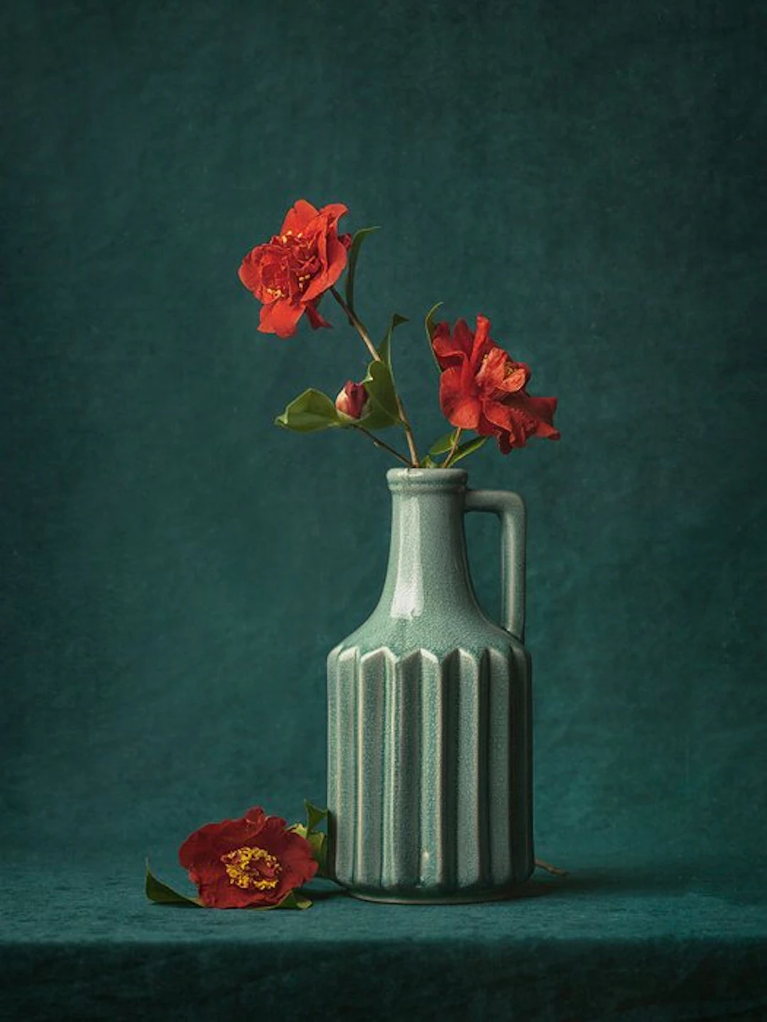 Tessa Posthuma de Boer - Camelia