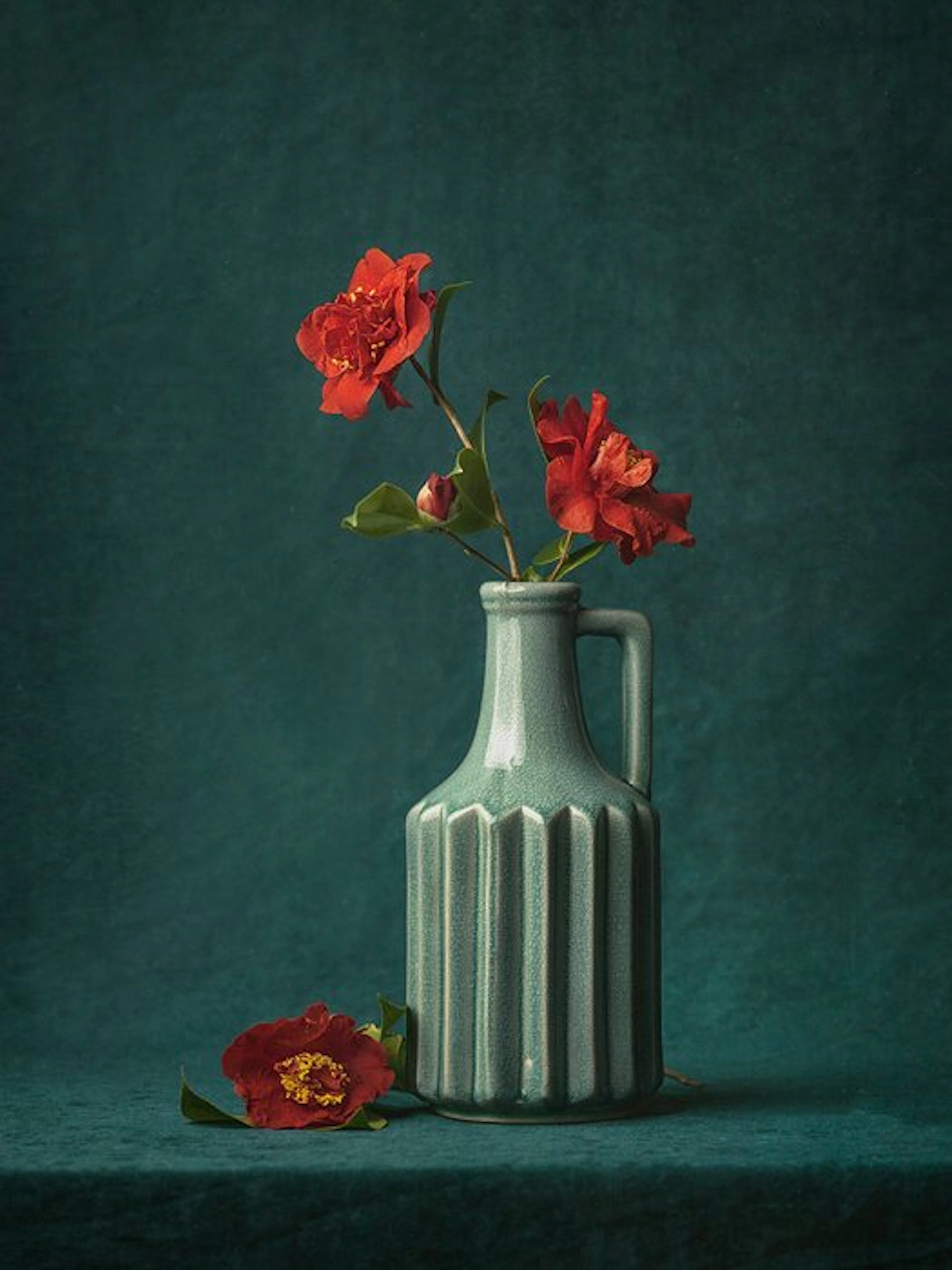 Tessa Posthuma de Boer - Camelia