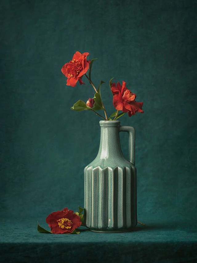 Tessa Posthuma de Boer - Camelia