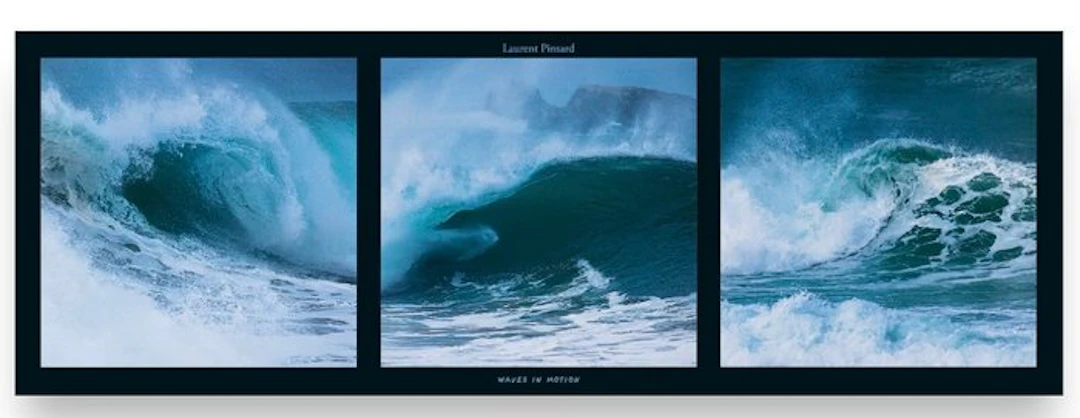 Laurent Pinsard - “Waves in motion”. 95 x 33 cm.