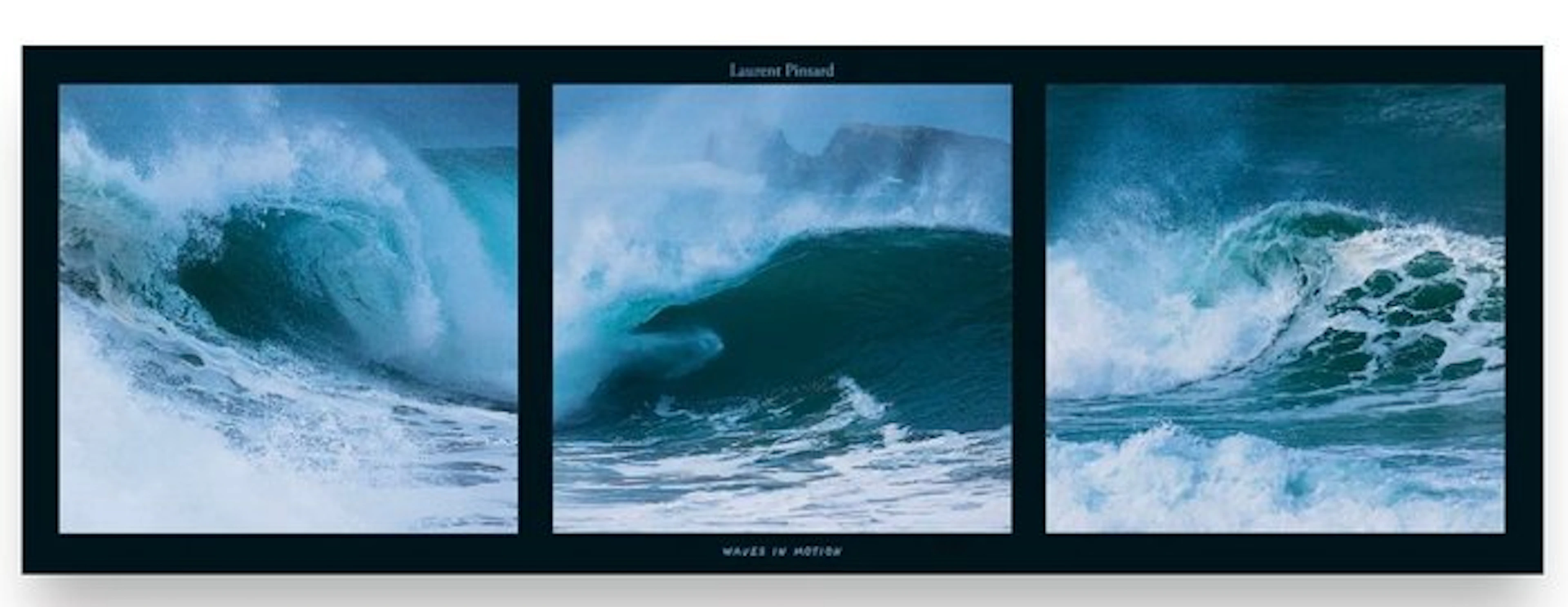 Laurent Pinsard - “Waves in motion”. 95 x 33 cm.