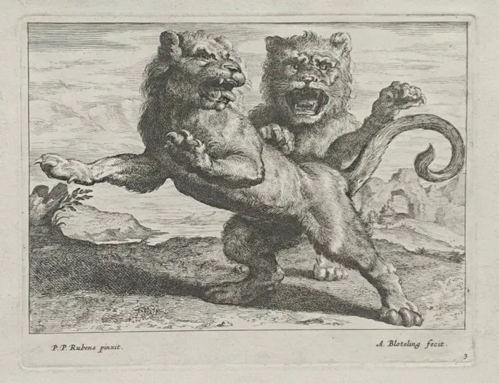Abraham Blooteling (1640–1690) - Pieter Paul Rubens (1577–1640) - Various Lions