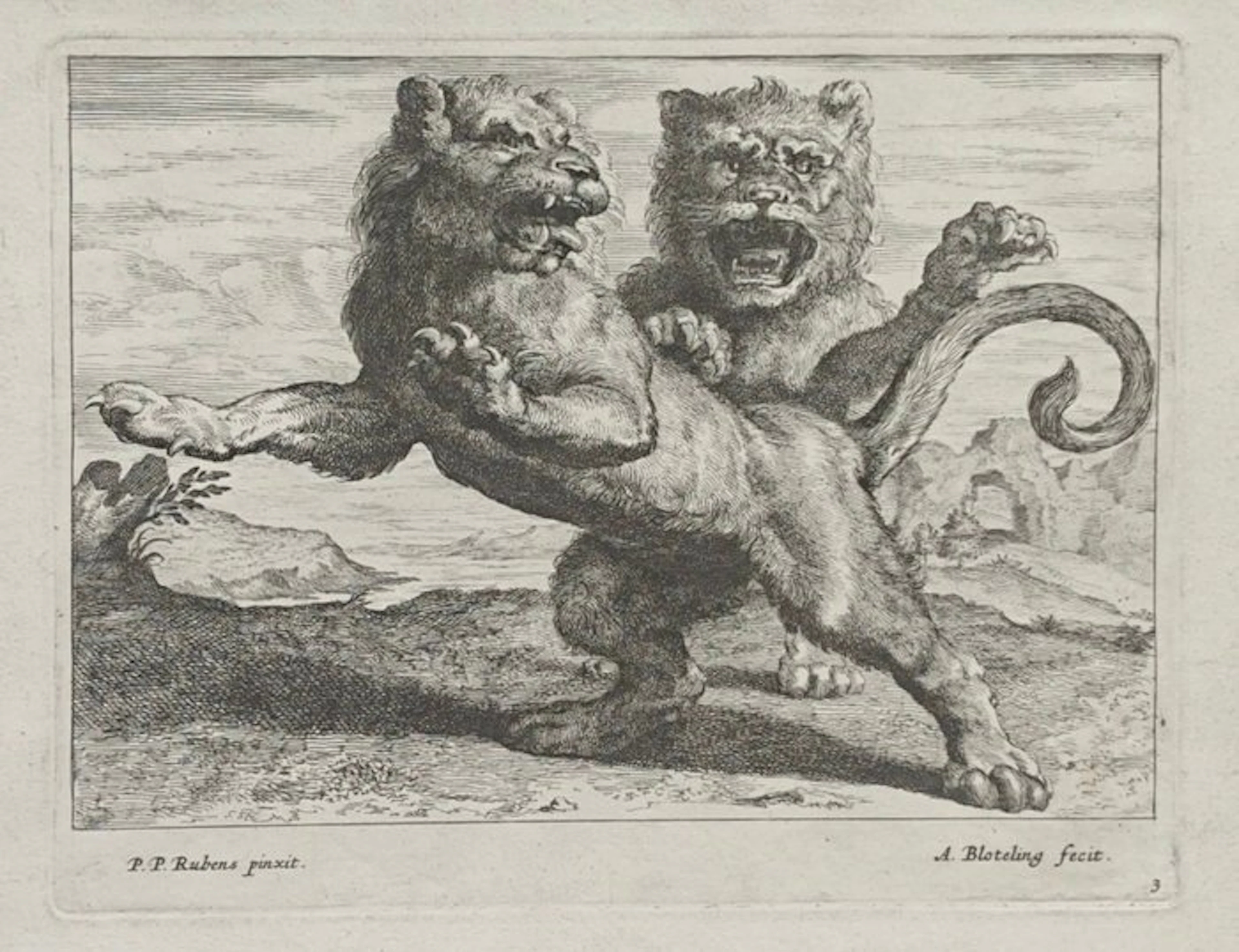 Abraham Blooteling (1640–1690) - Pieter Paul Rubens (1577–1640) - Various Lions