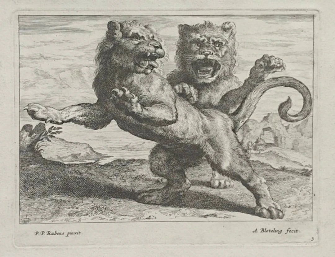 Abraham Blooteling (1640–1690) - Pieter Paul Rubens (1577–1640) - Various Lions