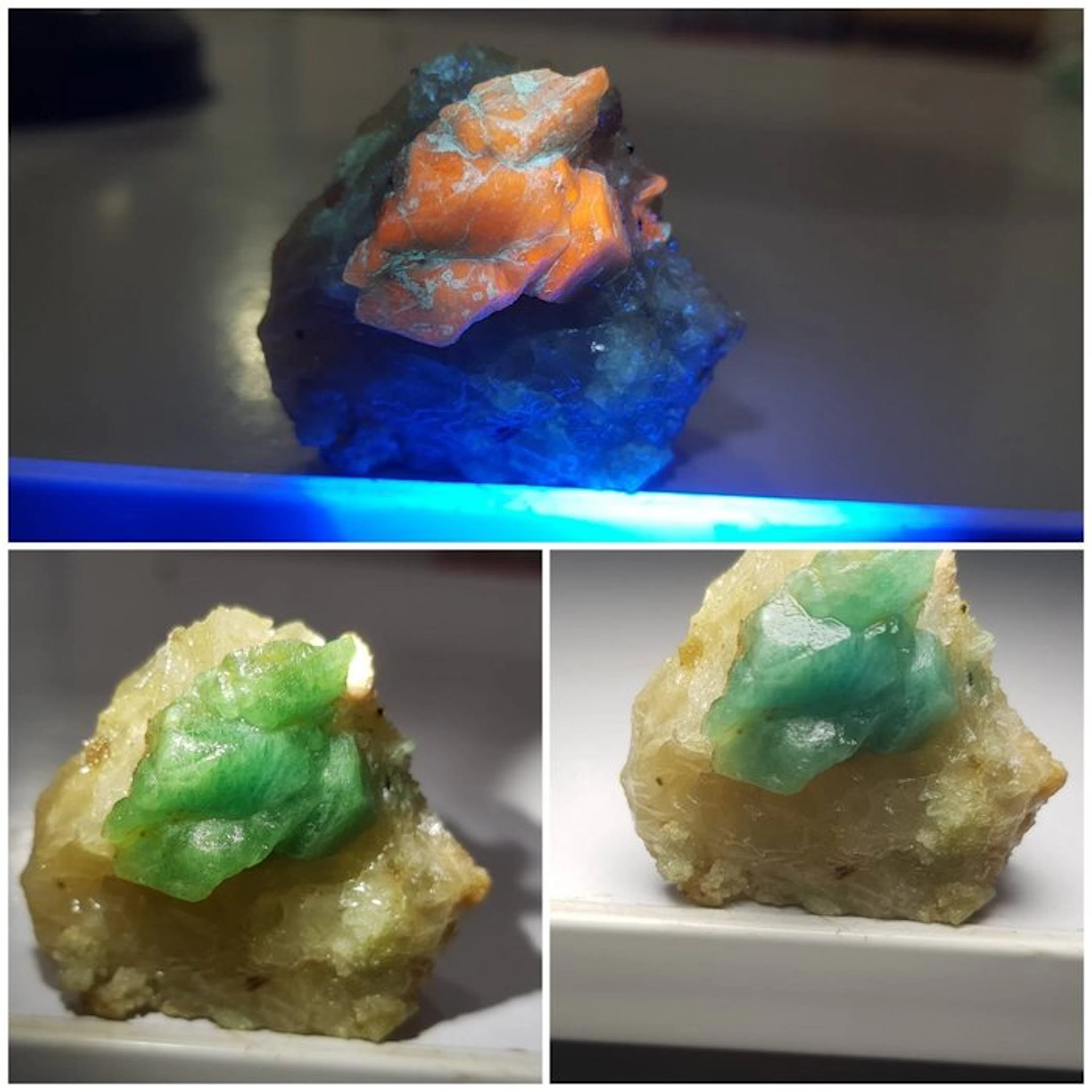 Florescent rare Hauynite mineral Specimen - Height: 50 mm...