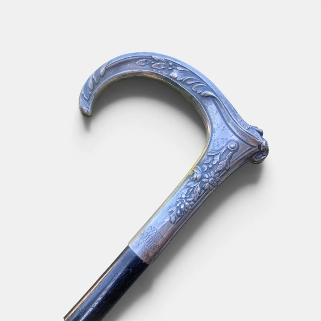 Delheid Frères Walking stick - .800 silver, Ebony - Antique walking stick