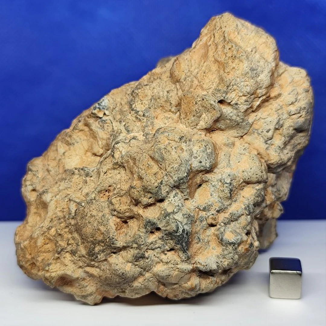 XXL MUSEUM- GABBRO LUNAR Meteorite (Melt Breccia)
