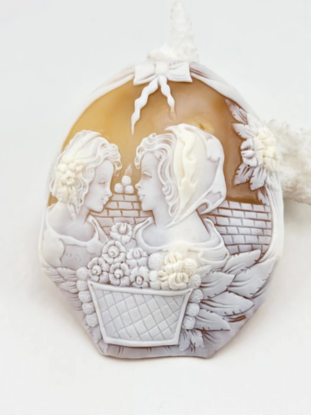 Cassis madagascariensis - Cameo - Hand-carved cameo