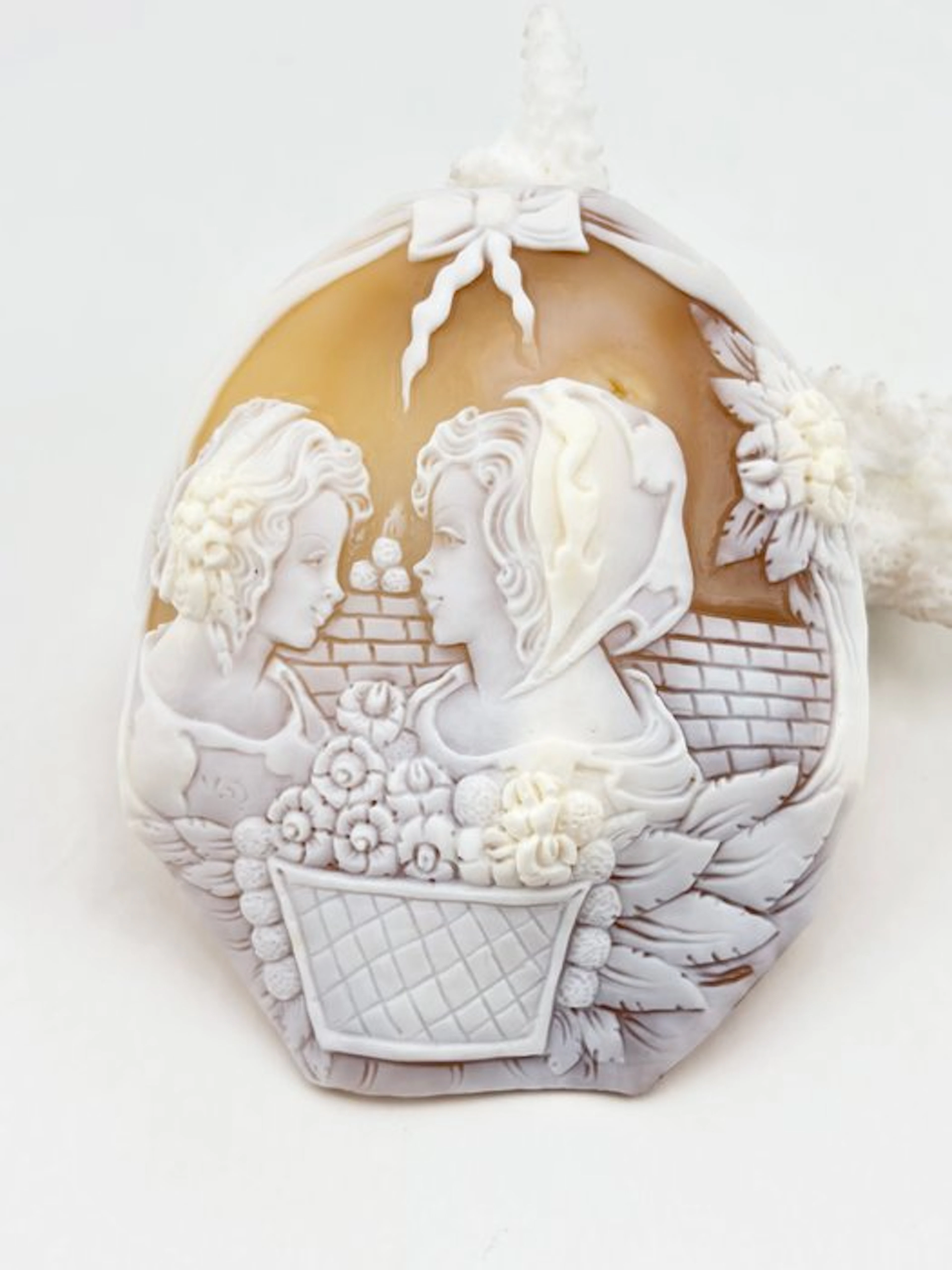 Cassis madagascariensis - Cameo - Hand-carved cameo
