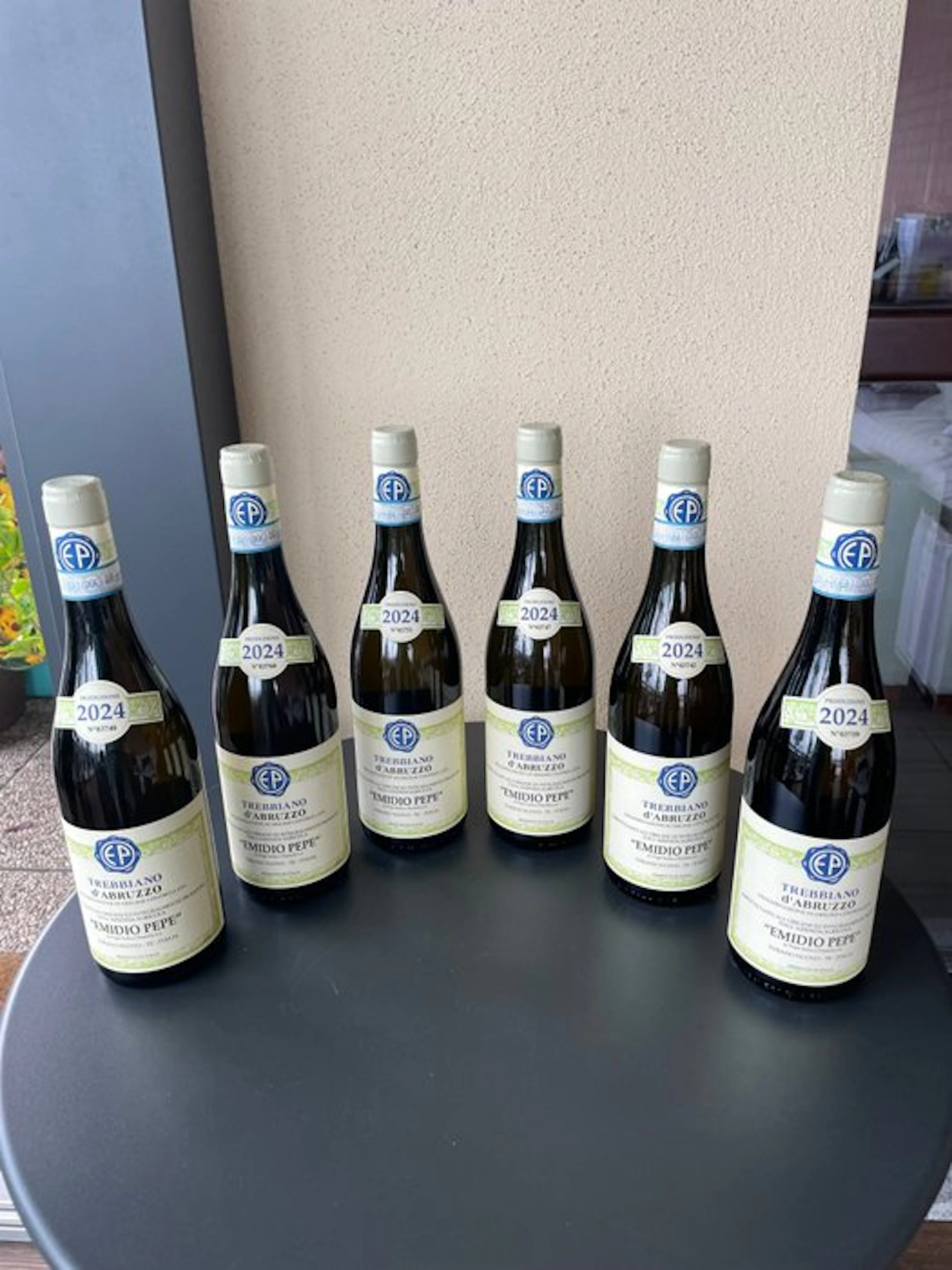 2024 Emidio Pepe, Trebbiano d’ Abruzzo - Abruzzo DOC - 6 Bottles (0.75L)