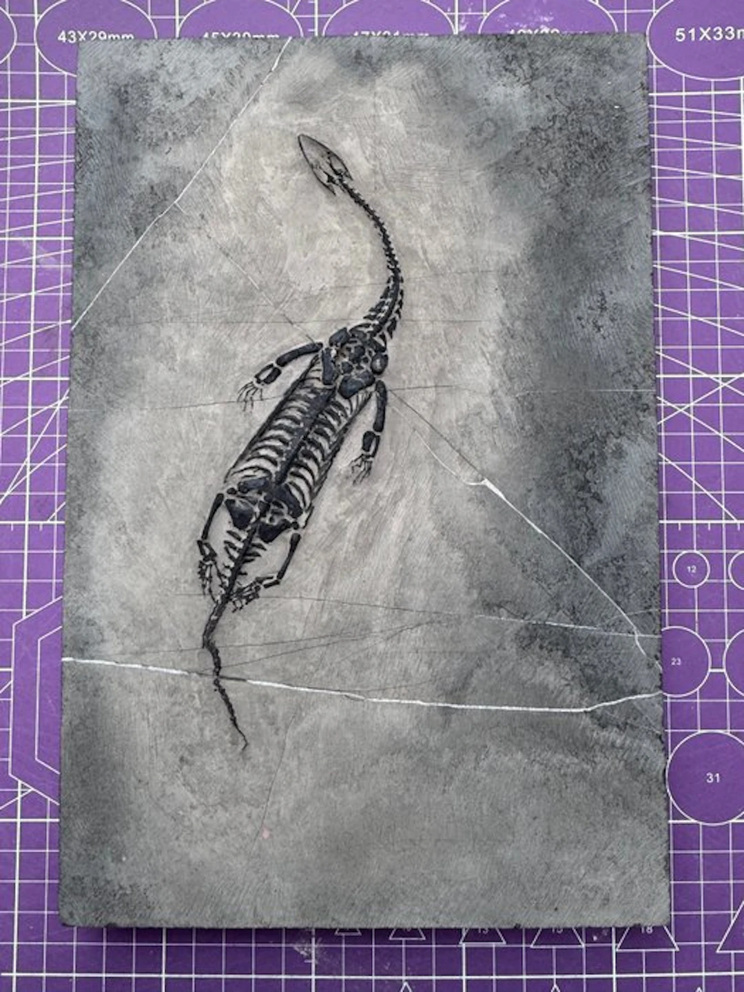 Fossil reptile: Keichousaurus - a rare testimony from the...