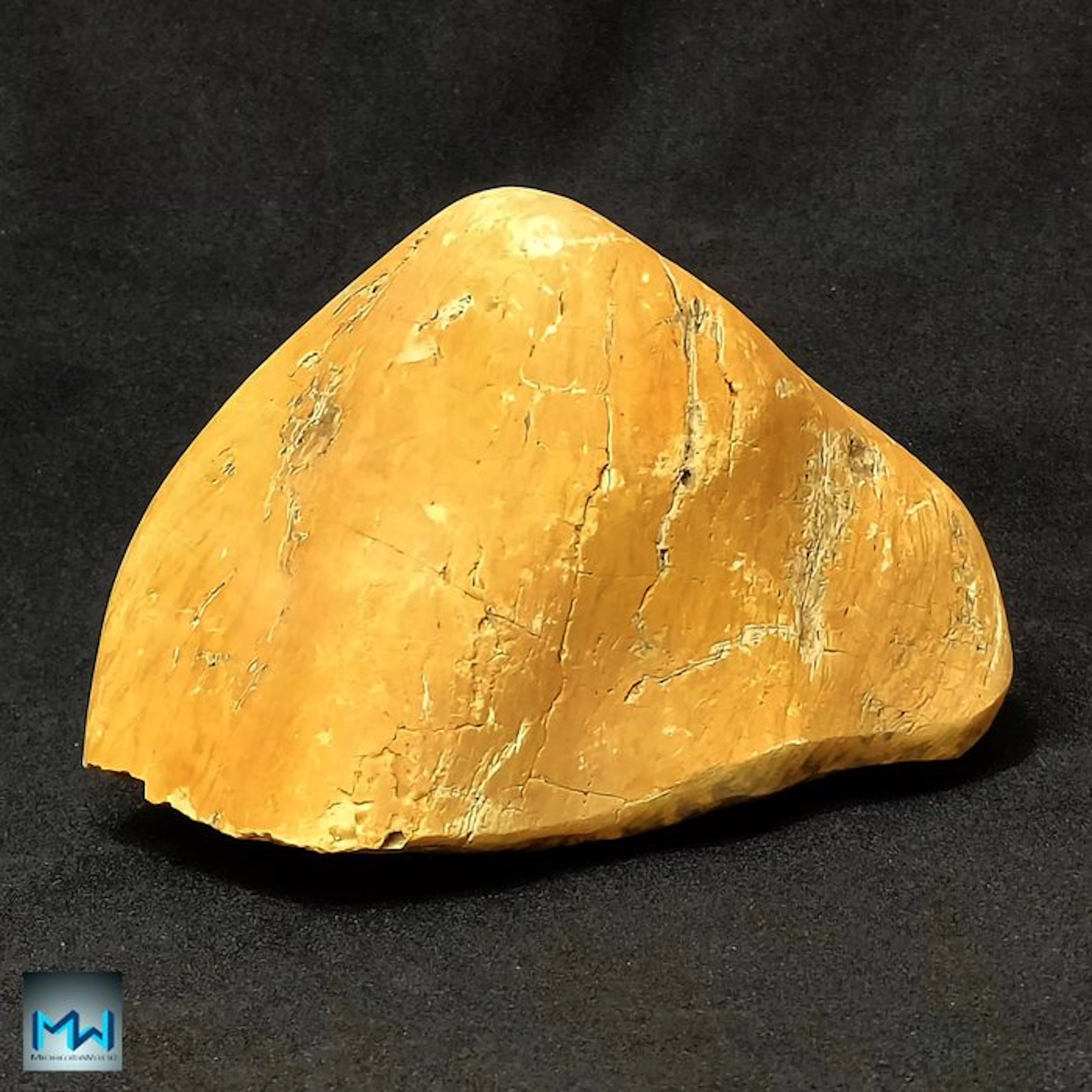Polished Piece of Yellow Amber West Papua - Height: 180...