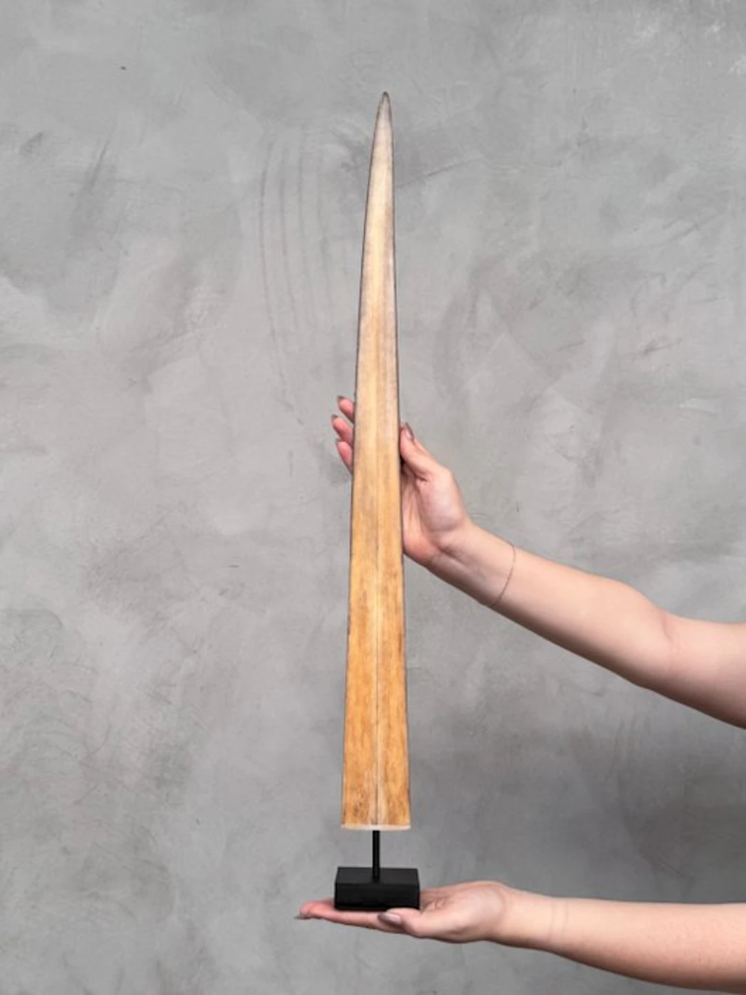 NO RESERVE PRICE - Stunning Swordfish Tusk mounted on a...