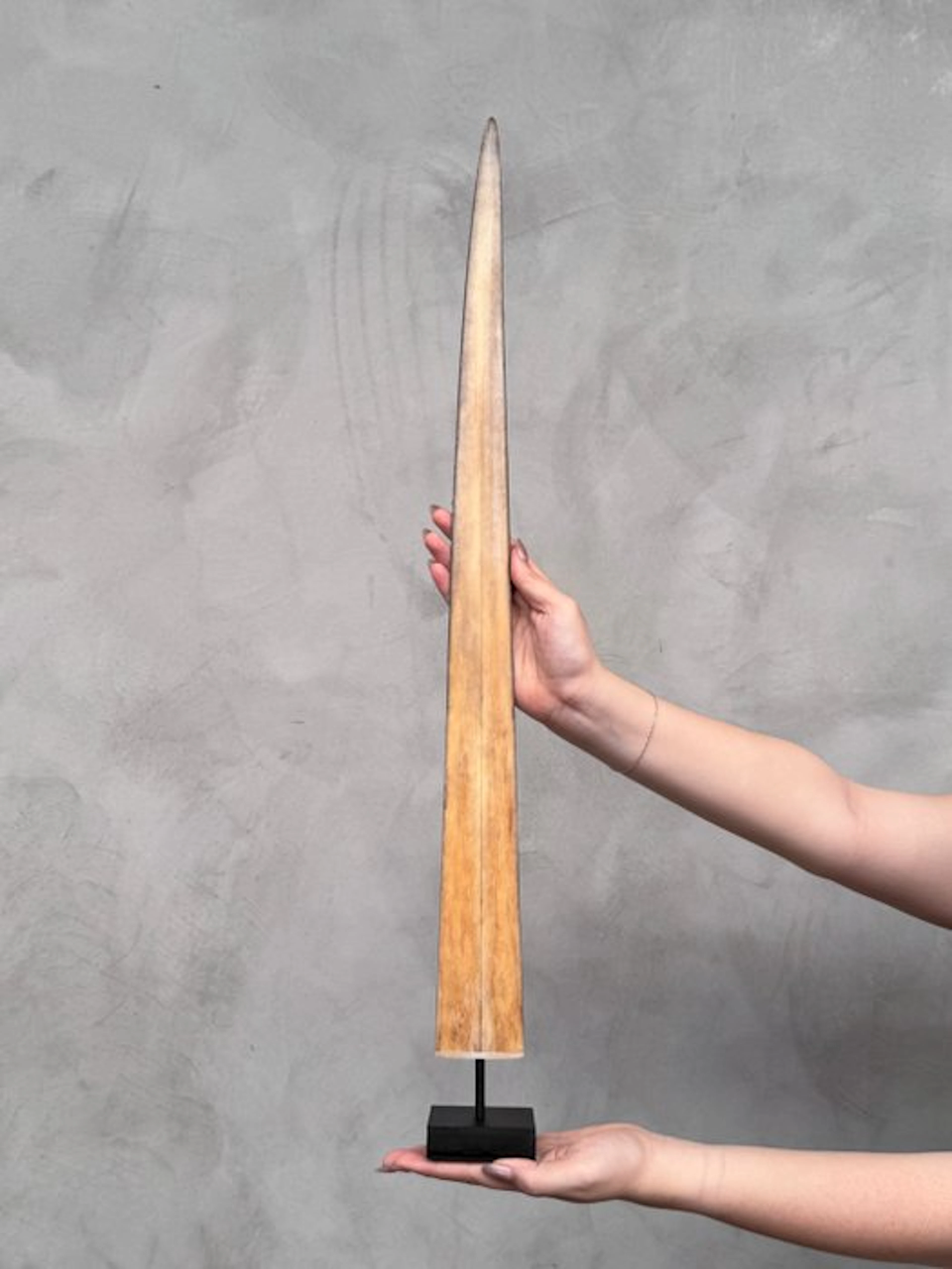 NO RESERVE PRICE - Stunning Swordfish Tusk mounted on a...