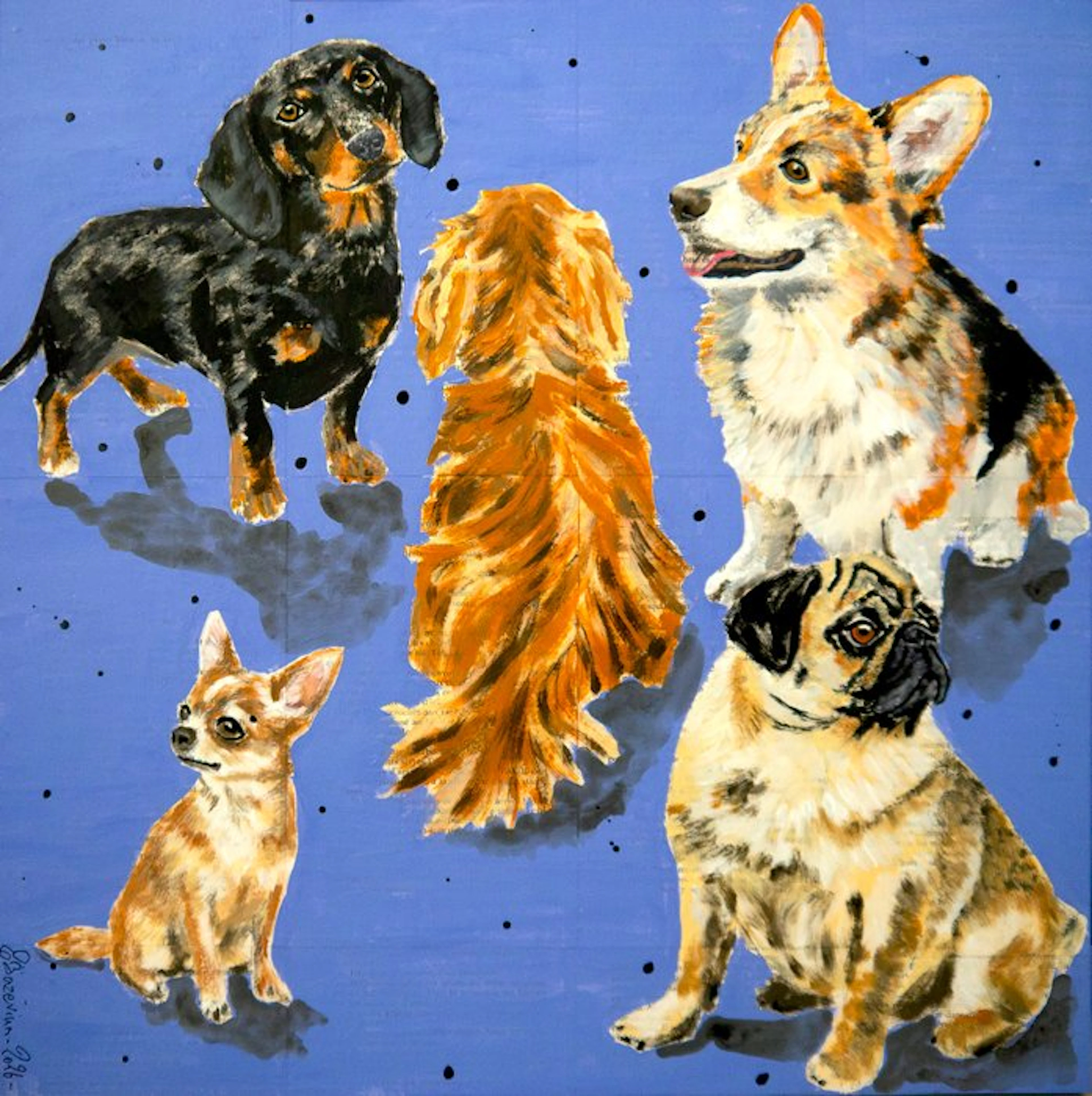 Bazévian DelaCapucinière - Mini Dogs Gang Dachshund Corgi...