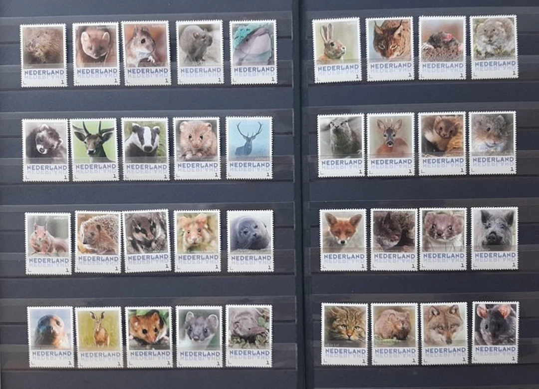 Netherlands 2013 - Complete series of personalized stamps...