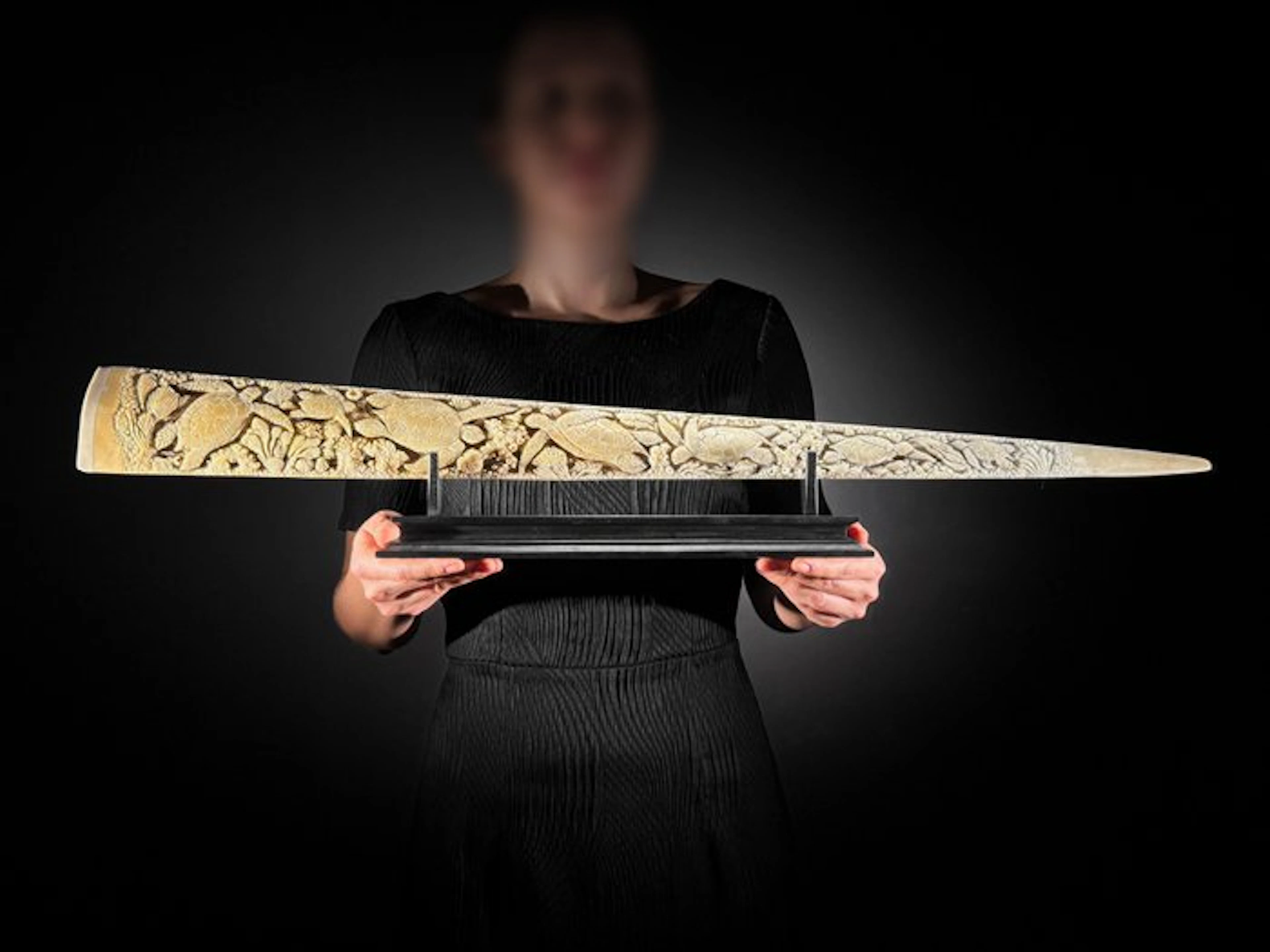 NO RESERVE PRICE - Stunning Swordfish Rostrum mounted on...