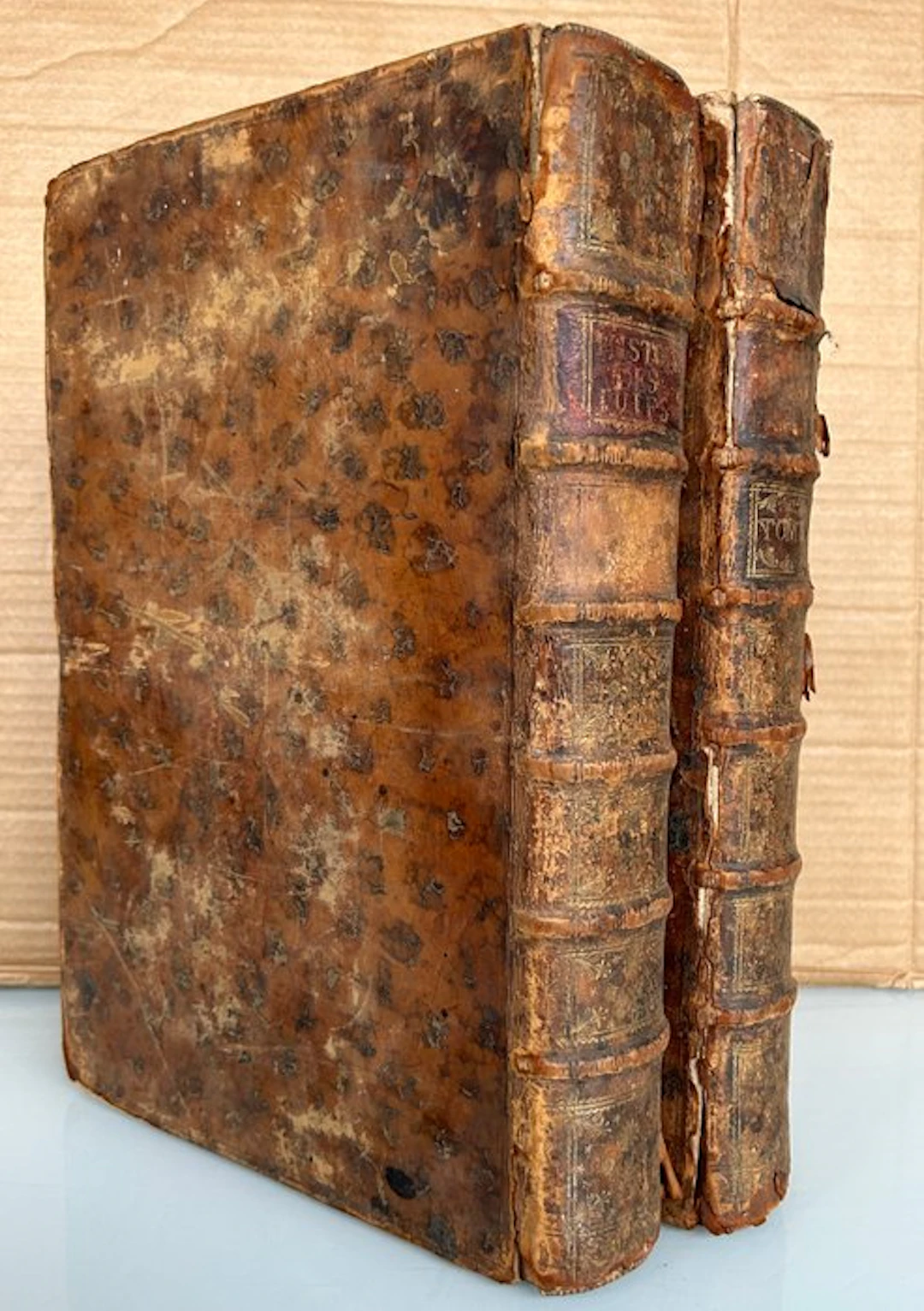 Flavius Josephus - Histoire des Iuifs escrite par Flavius Ioseph - 1667-1668